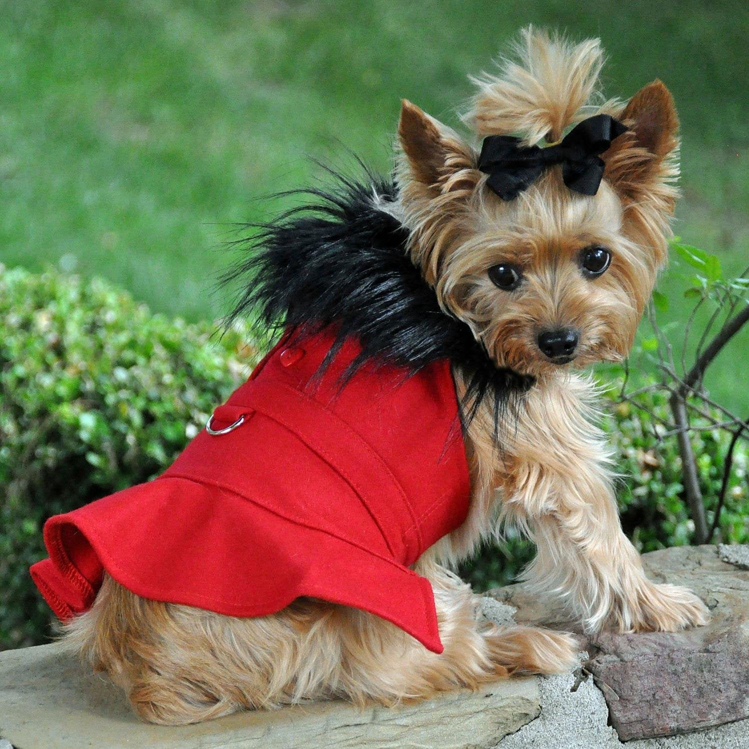Doggie Design Fall Sweaters (Brown Dream, Xxs)