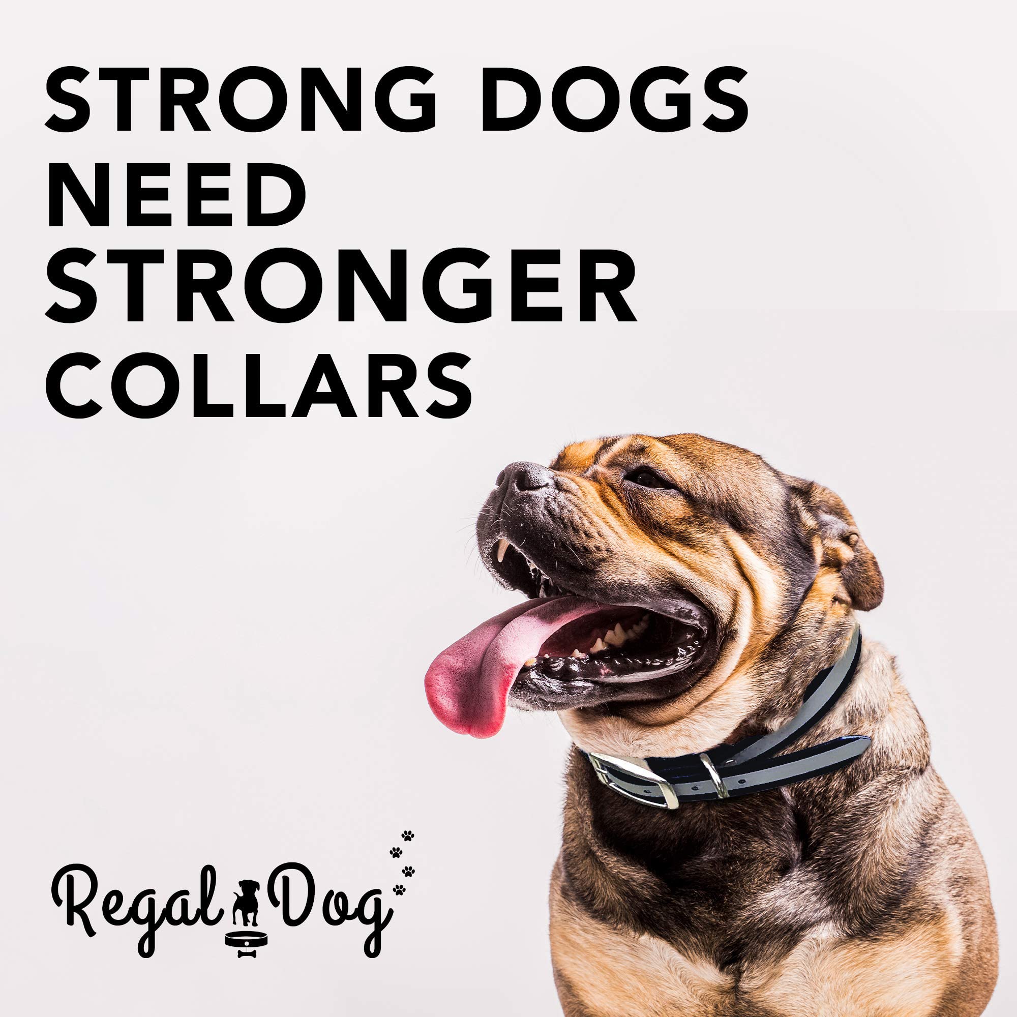 Regal Dog Products Medium Black Heavy Duty Reflective Dog Collar With Durable Metal Buckle And D Ring Adjustable, Chew Proof & Waterproof Center Ring | Strong Small Dog Collar