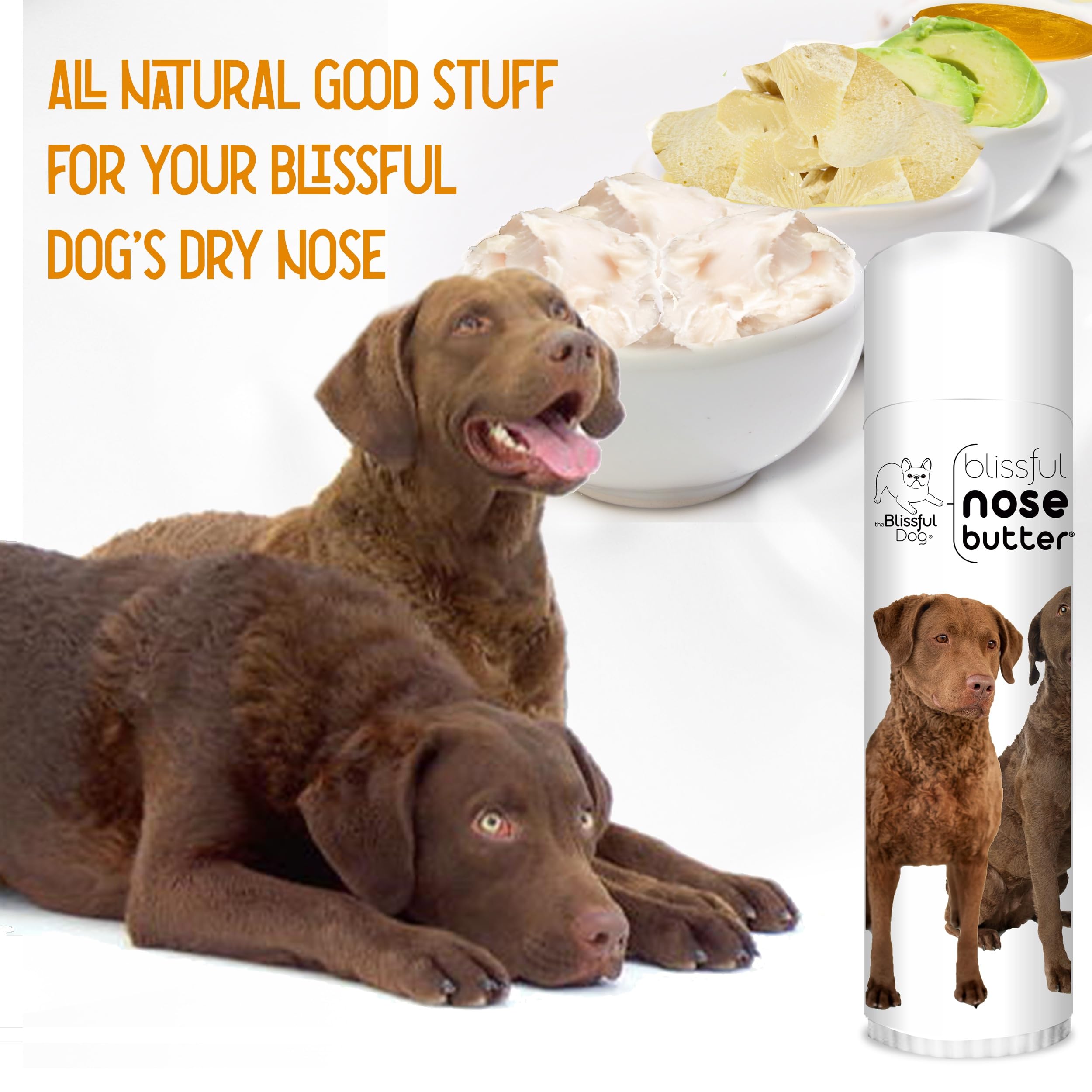 The Blissful Dog Chesapeake Bay Retriever Unscented Nose Butter, 0.50-Ounce