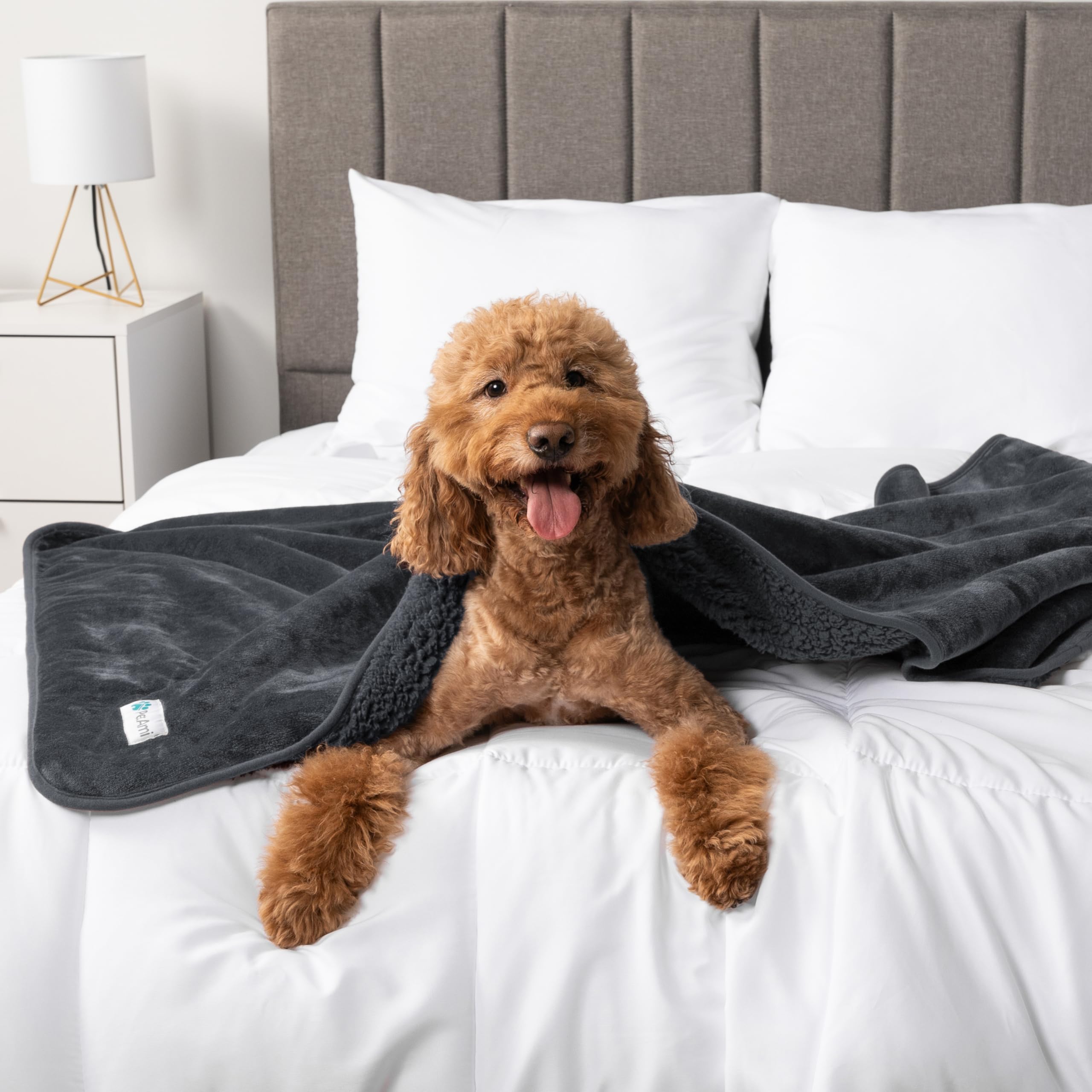 Petami Waterproof Dog Blanket For Extra Large Dogs, Pee Proof Pet Blanket For Bed Couch, Reversible Water Proof Blanket For Puppy Indoor Cat, Soft Dog Crate Cover Washable, Queen 90X90 Gray
