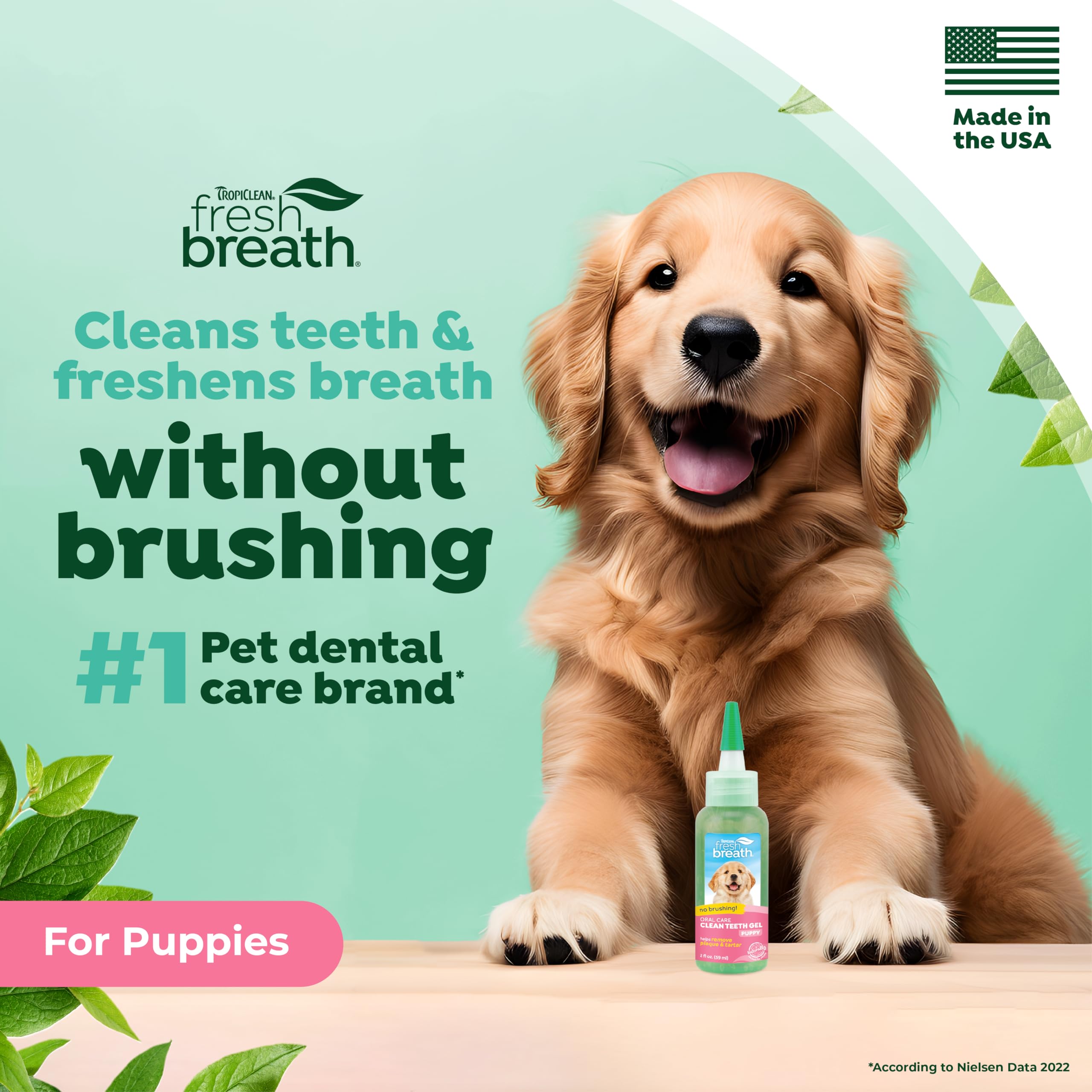 TropiClean Fresh Breath Dog Toothpaste for Teeth Cleaning, Breath Freshener, Easy to Use Plaque & Tartar Remover Gel, No Toothbr