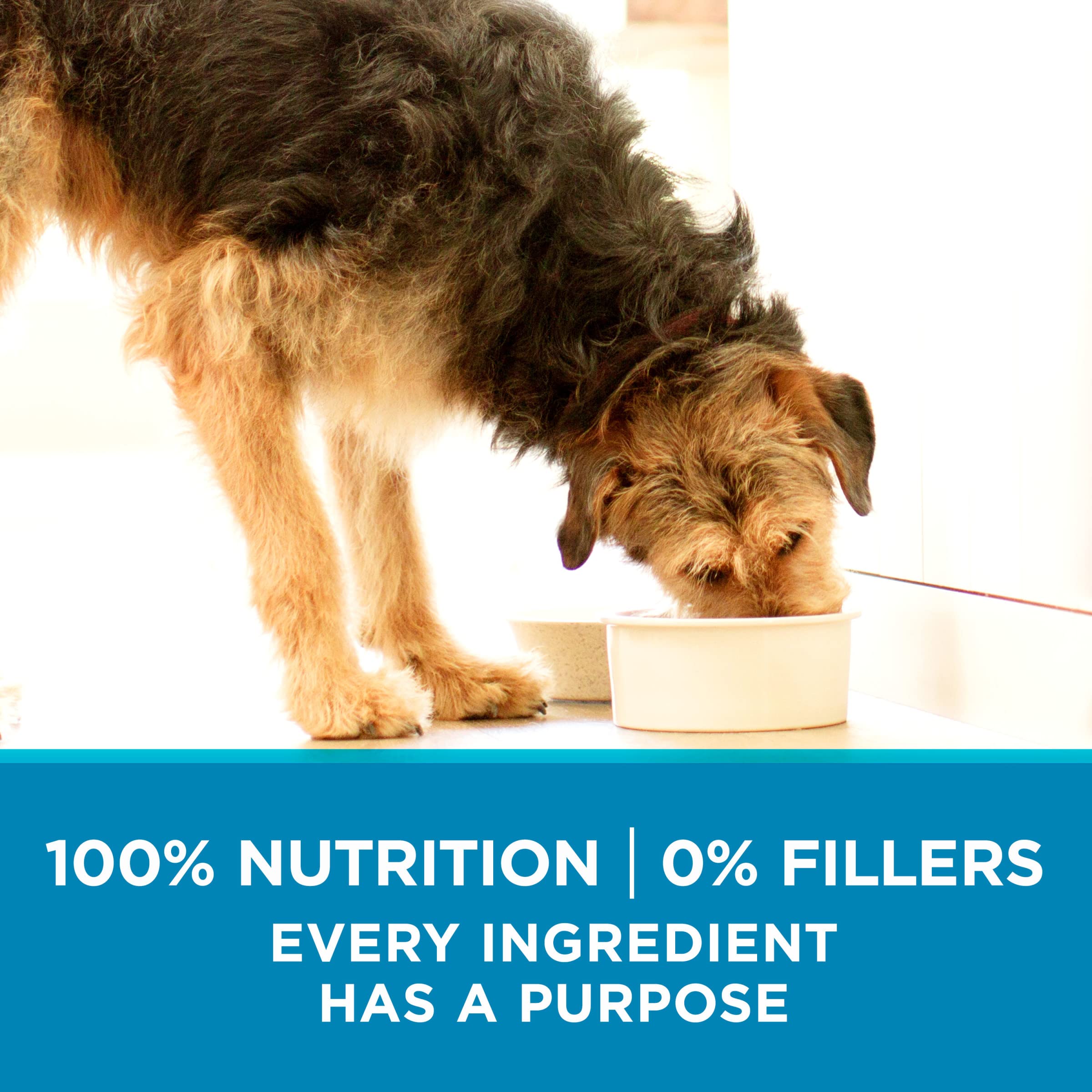 Purina ONE Plus Joint Health Formula Natural With Added Vitamins, Minerals and Nutrients Dry Dog Food - 16.5 lb. Bag
