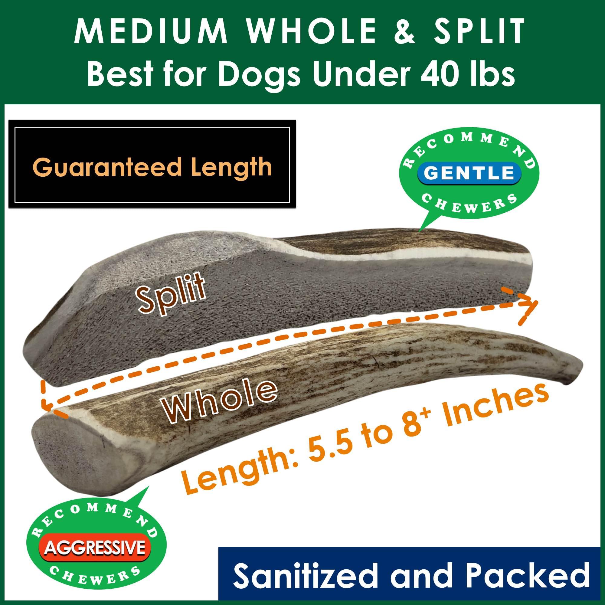 Deluxe Naturals 1-LB Medium Mixed Whole & Split Elk Antler Dog Chews (5.5-8+ in) - Long Lasting Natural Treats for Small to Medi