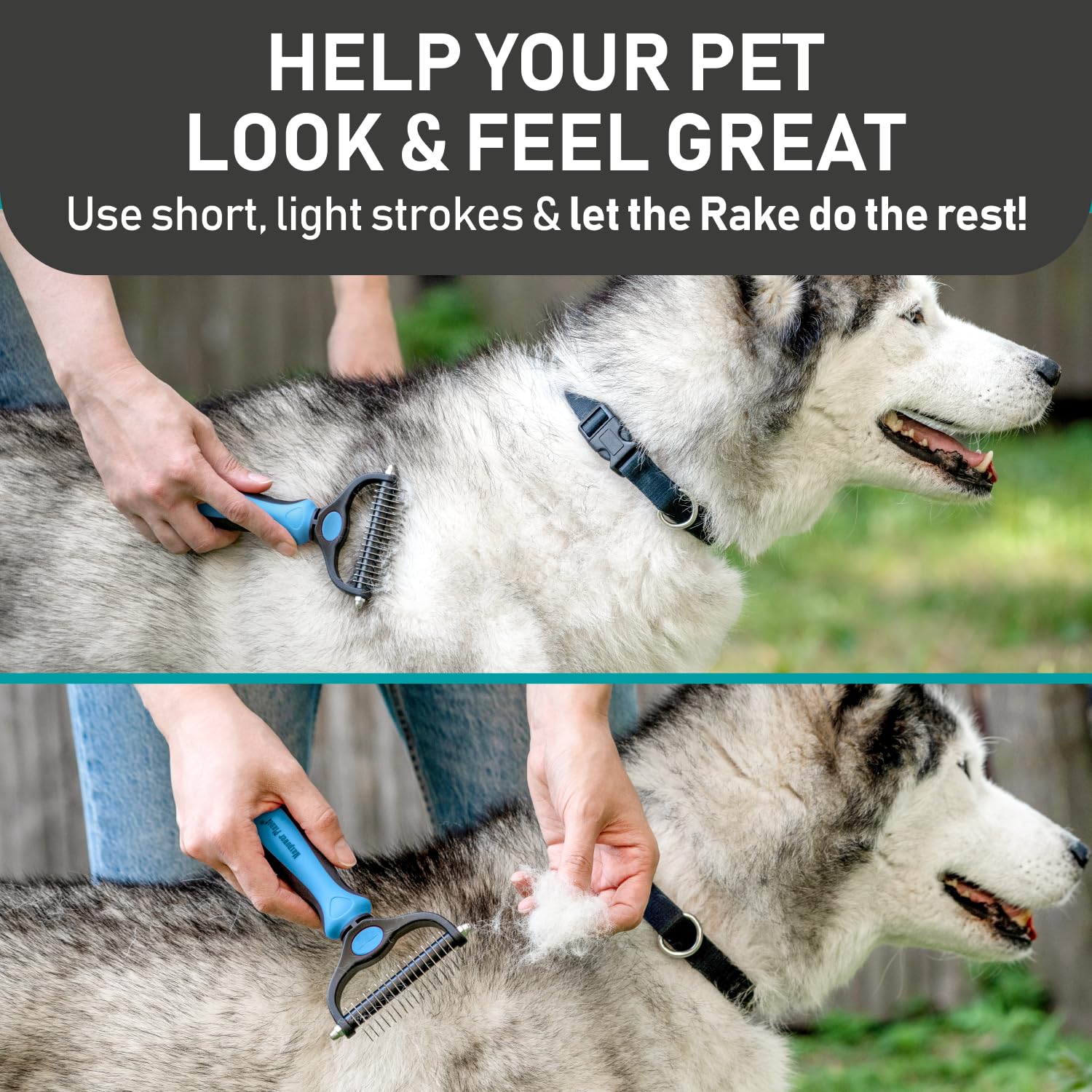 Maxpower Planet Pet Grooming Brush And 2X Grooming Gloves Combo - Double Sided Dematting, Deshedding Undercoat Rake For Dogs And
