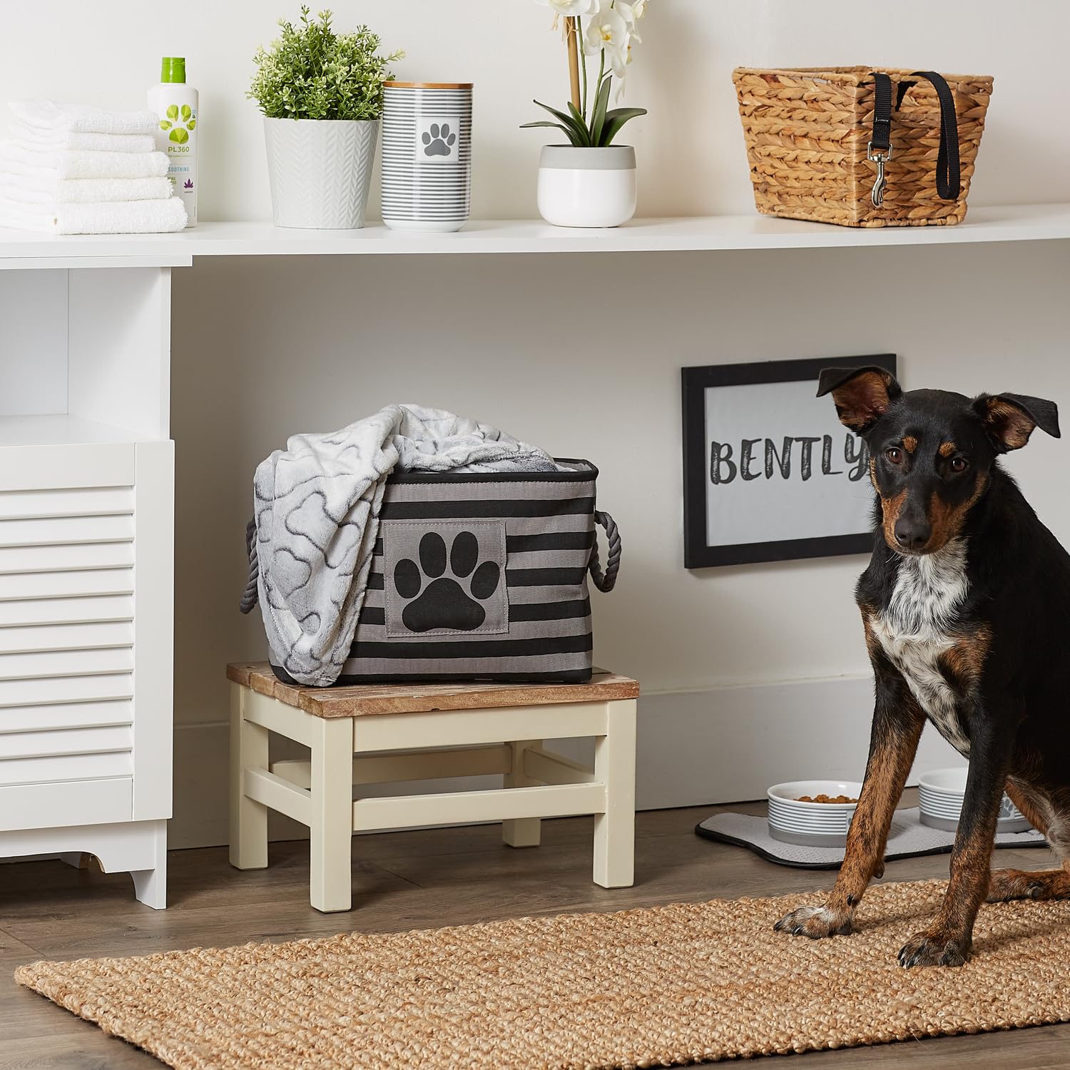 Bone Dry Pet Storage Collection Striped Paw Patch Bin, Black, Small Rectangle