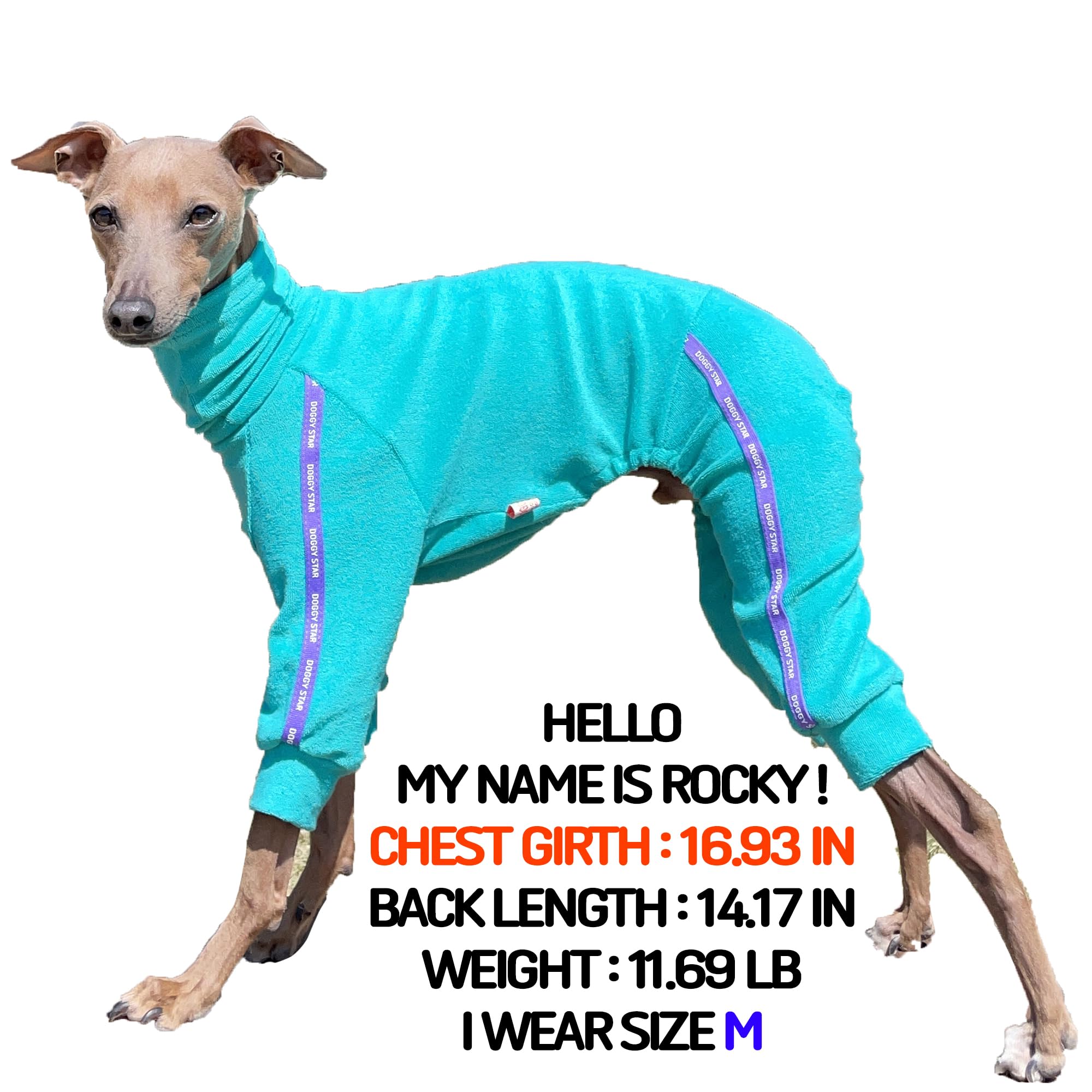 D Doggy Star Italian Greyhound Clothes Stretchy Towel Sports Onesie Outfit Whippet For Dog Coat (Xl,Twl Turquoise)