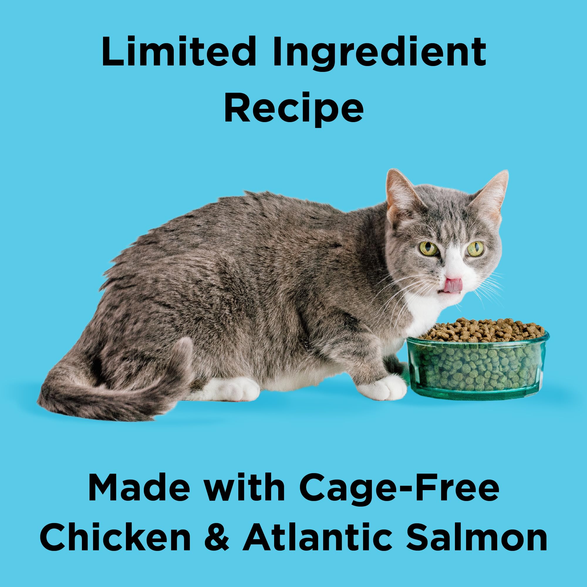 BIXBI Liberty Dry Food Indoor Cat Health Chicken & Salmon Recipe, 3lb