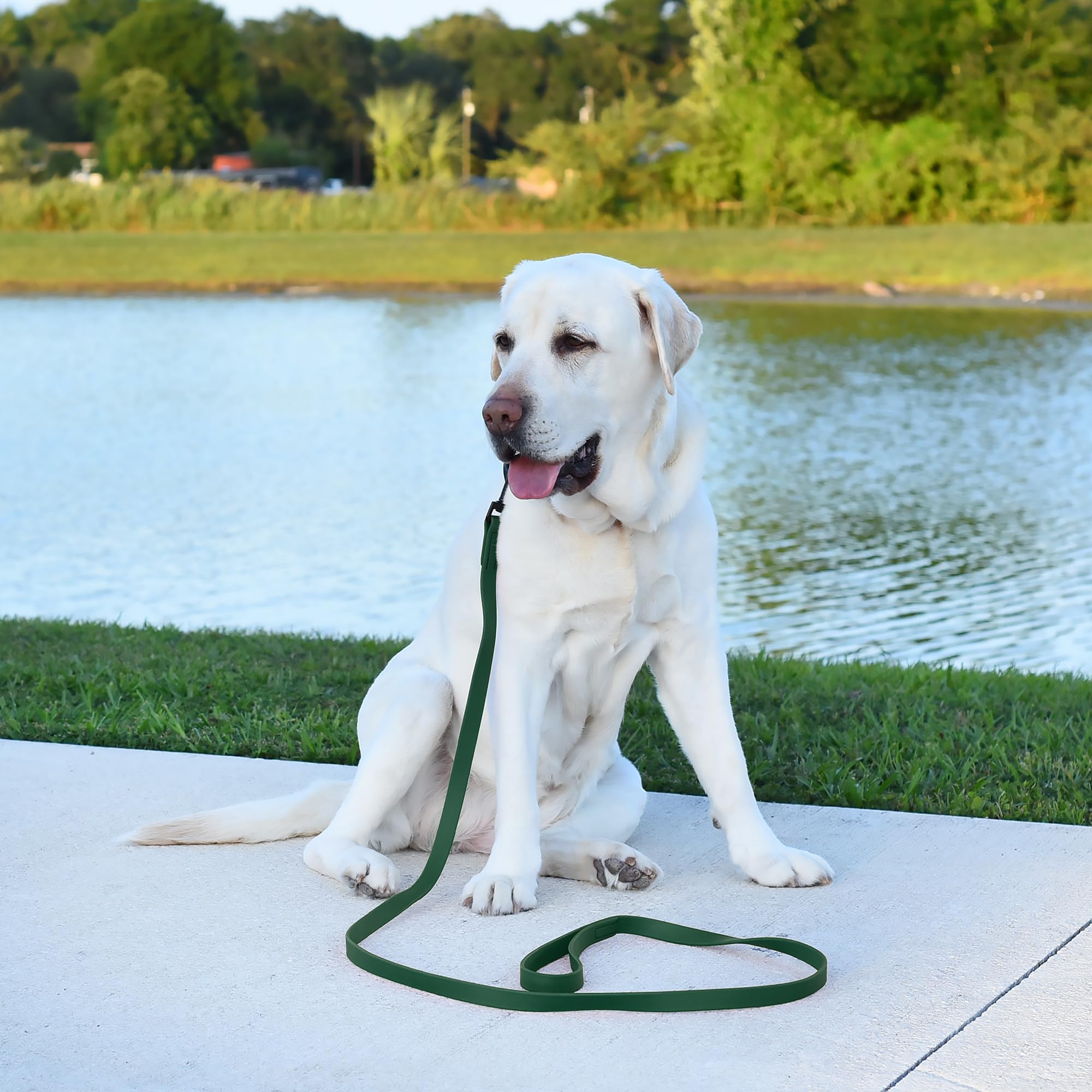 Dogline Biothane Waterproof Dog Leash Strong Coated Nylon Webbing With Black Hardware Odor-Proof Easy To Clean High Performance For Small Or Large Dogs Made In Usa 4 Or 6 Ft Lead, Hunter Green