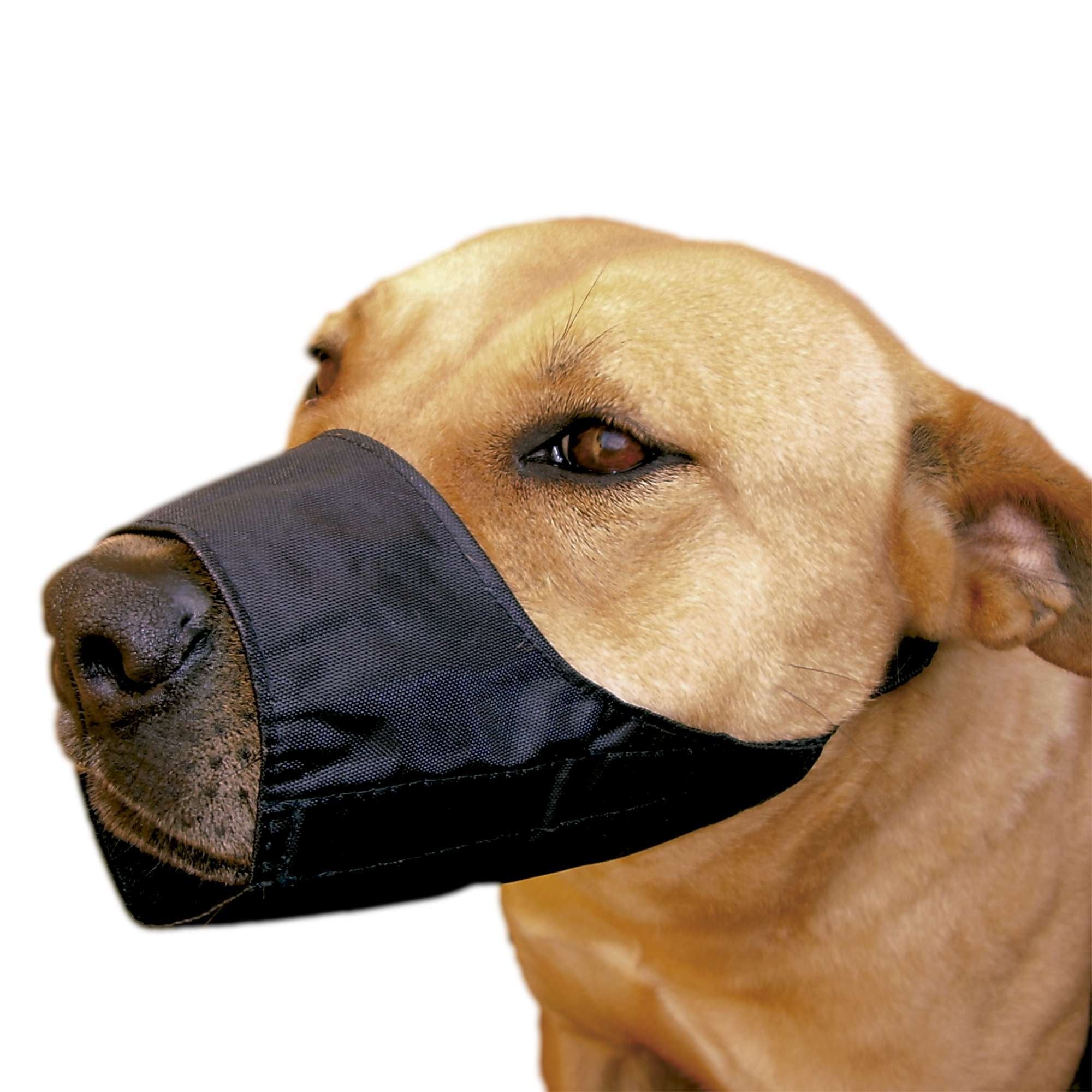 XT-DOG DB932 Adjustable Nylon Muzzle for Races West Highland, Fox Terrier, Cockers
