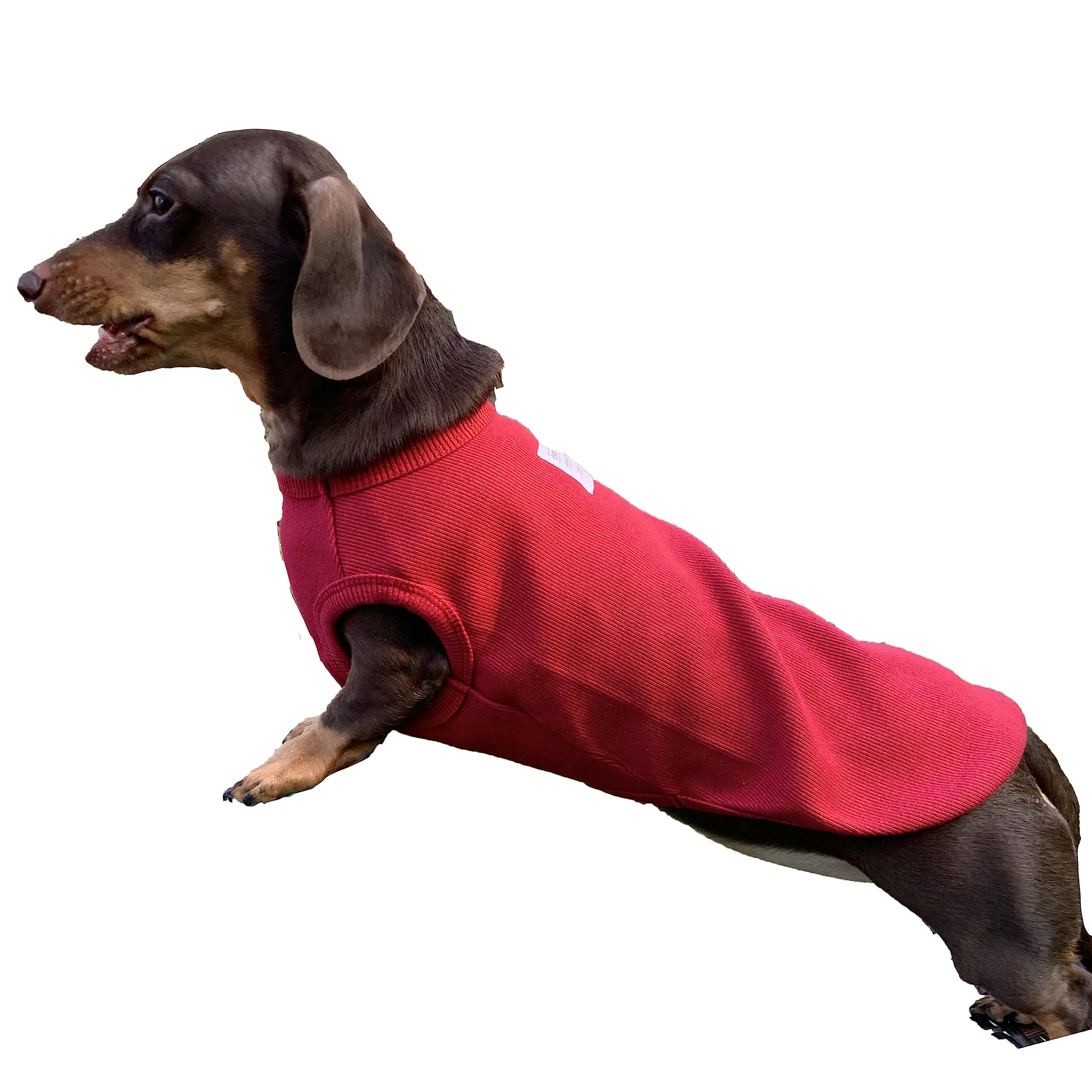 D Doggy Star Dachshund Clothes For Dogs Mini And Adults T Shirts (Xs,Solid Wine)