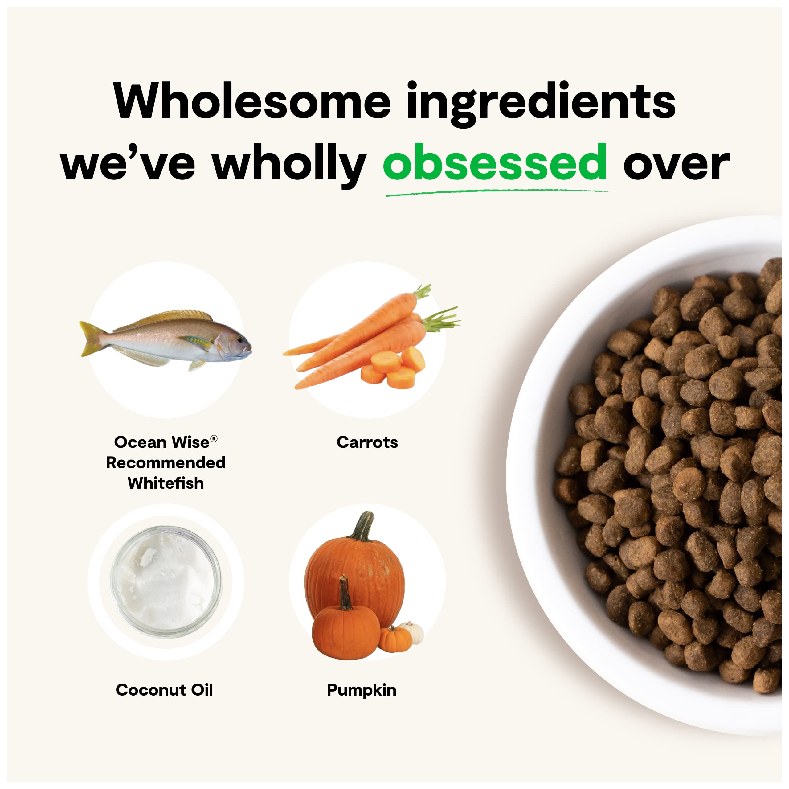 Open Farm Grain-Free Dry Dog Food, Whitefish Recipe, 4lb Bag, Non-GMO Ingredients, Sustainably Sourced