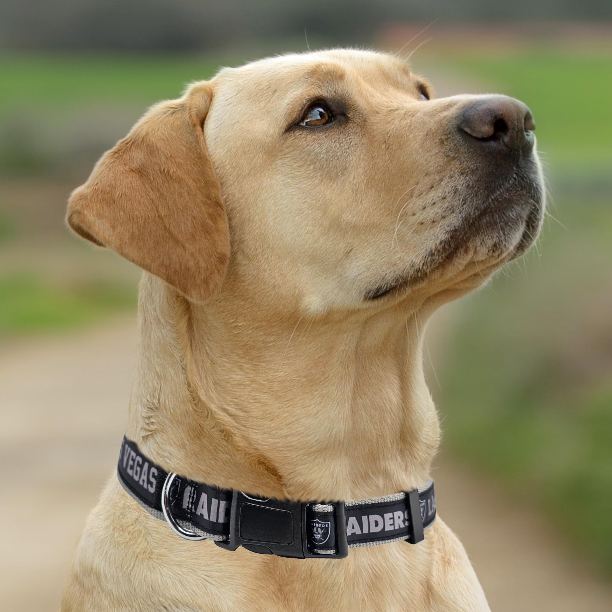 Pets First NFL Raiders Licensed PET COLLAR, Small - Heavy-Duty, Strong, and Durable Dog Collar. Available in 31 Football Teams a