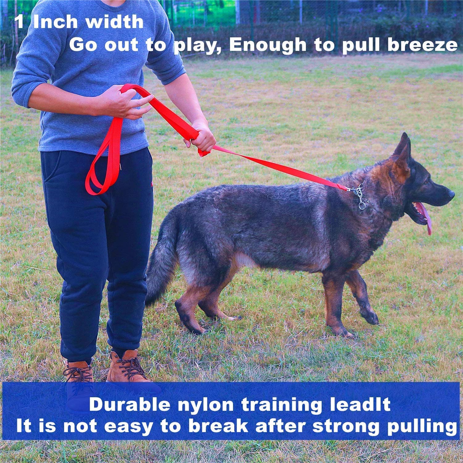 Siumouhoi Strong Durable Nylon Dog Training Leash, 1 Inch Wide Traction Rope, 6 Ft 10Ft 15Ft Long, For Small And Medium Dog (Black, 15 Feet)