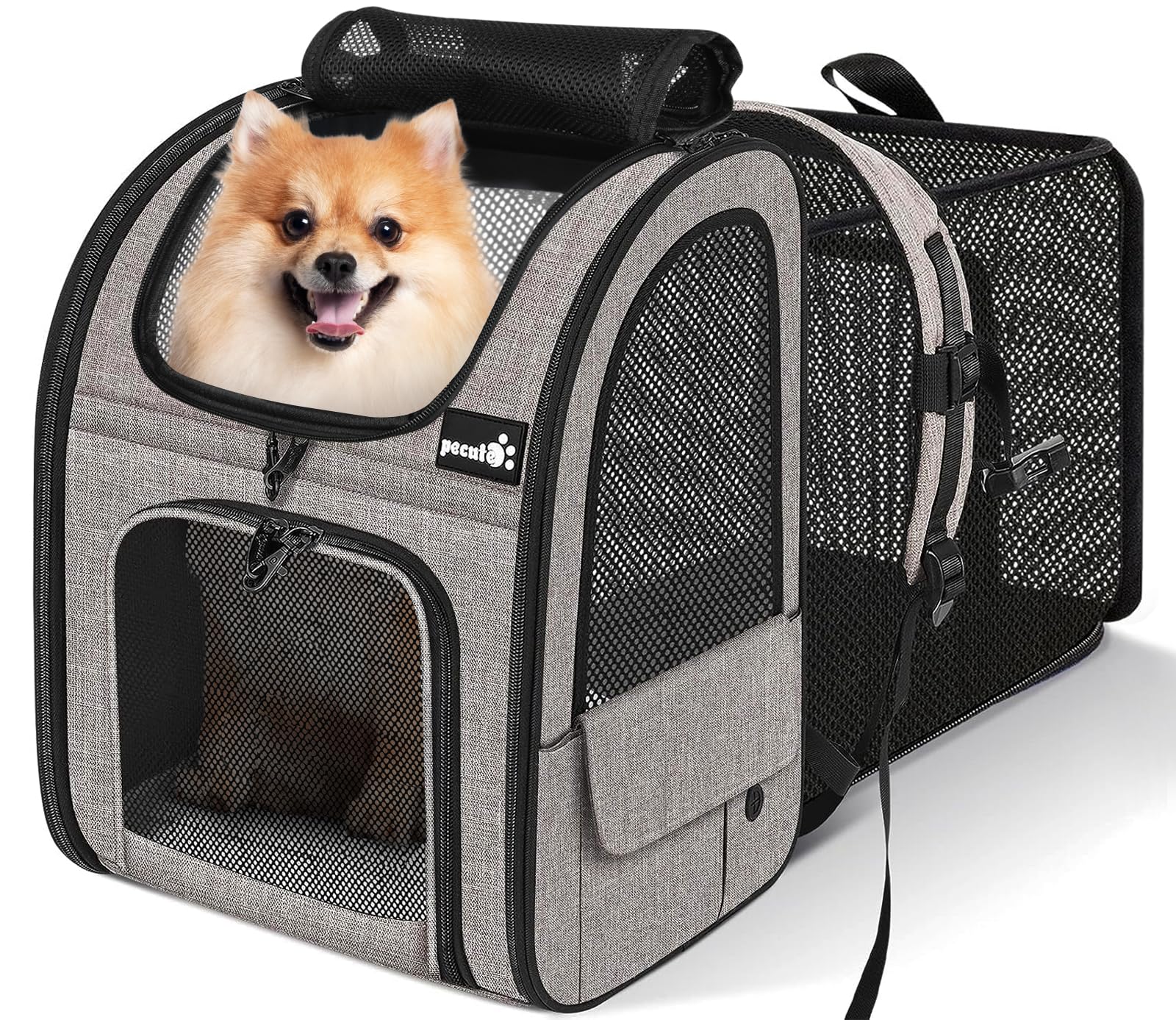 Pecute Pet Carrier Backpack, Large Cat Carrier Backpack, Expandable Cat Backpack with Breathable Mesh for Medium Large Cats, and