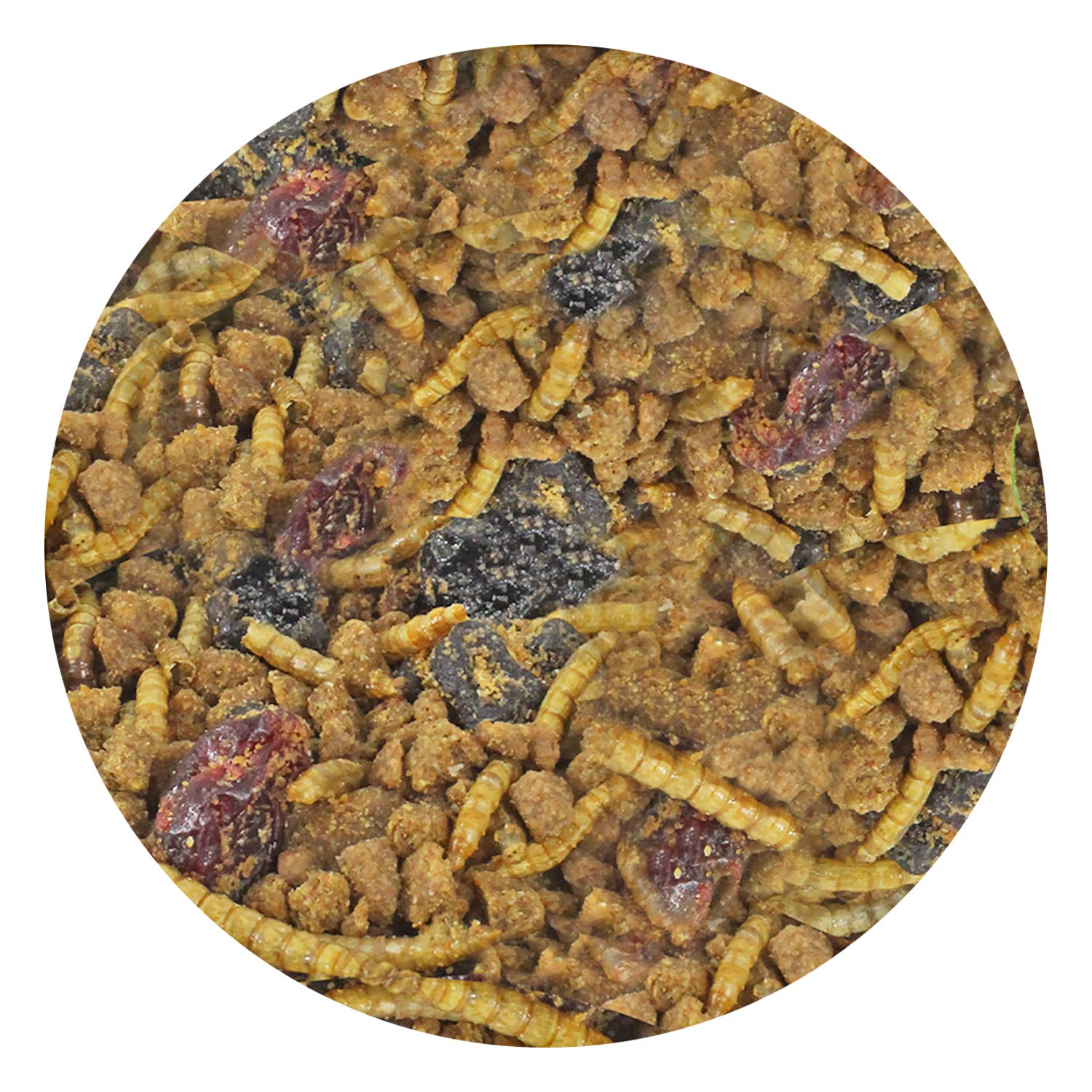Berries & Bugs (10 lb.) - All Natural High Protein High Fiber Insectivore Diet with Fruit, Gut-Loaded Insects, & Healthy Vitamin