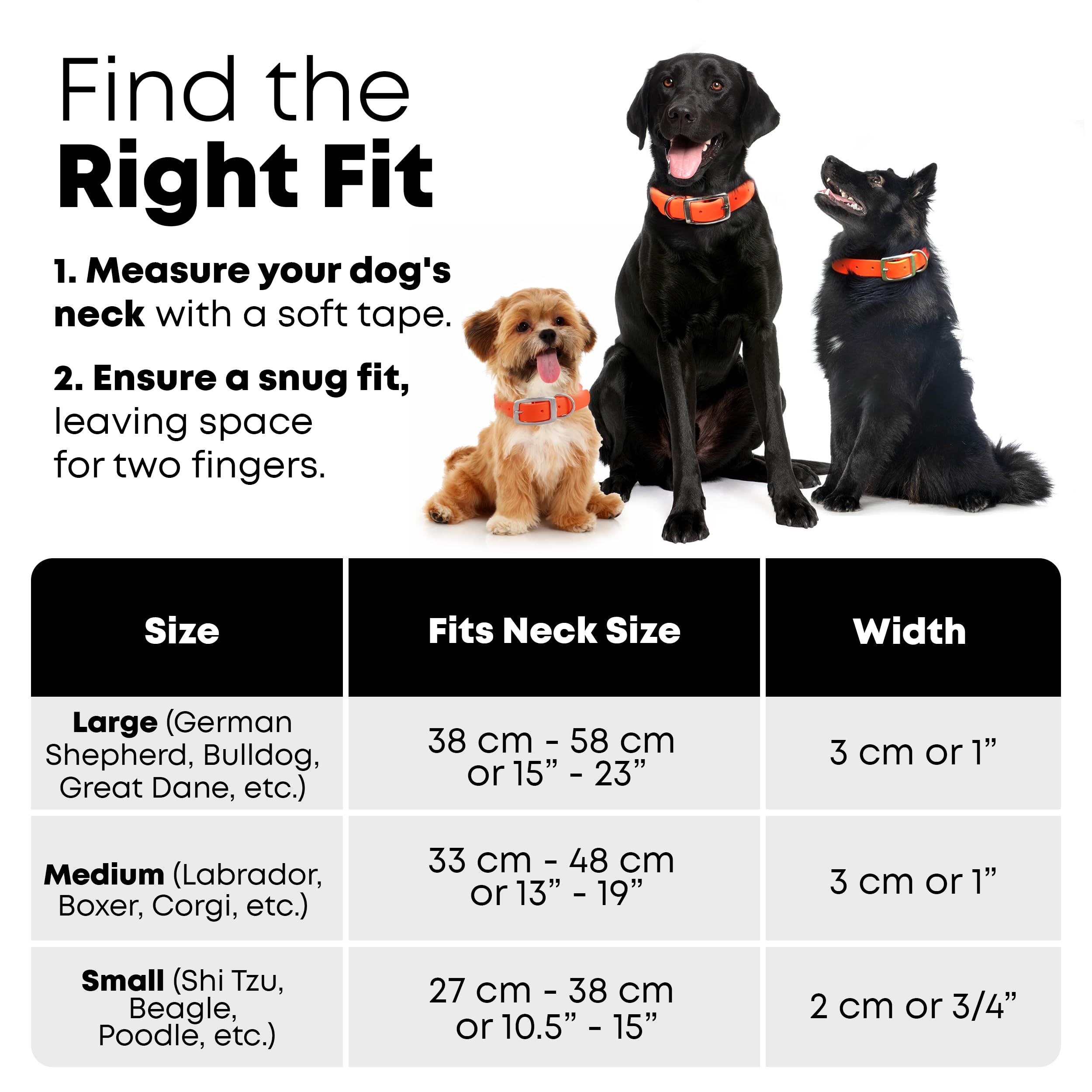 Regal Dog Products Small Orange Waterproof Dog Collar and Leash Set | Heavy Duty Double Buckle & D Ring - 5'ft Leash | Adjustabl