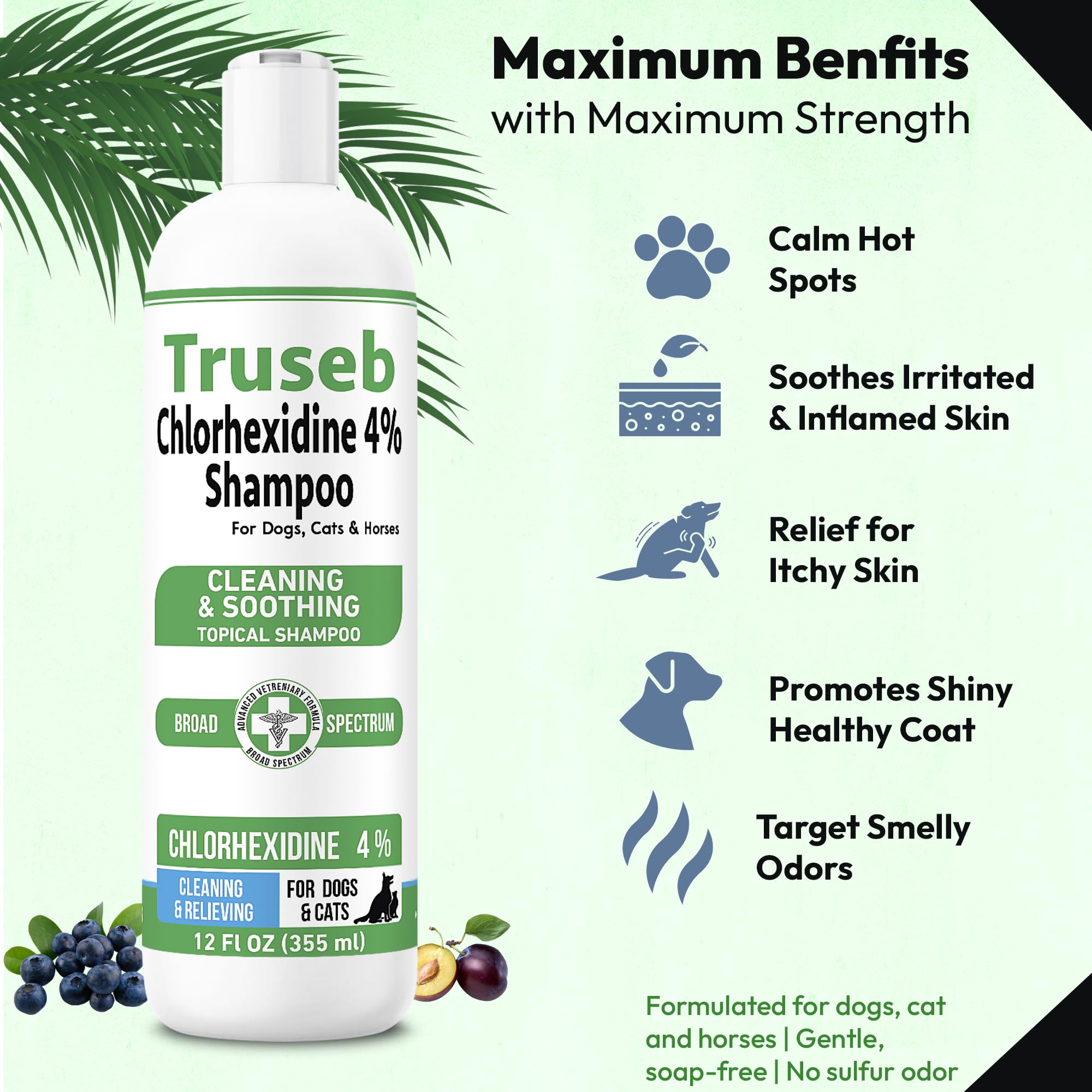 Pet Health Pharma Truseb Chlorhexidine 4% Shampoo for Dogs, Cats, Horses - 12 oz - Plum/Blueberry Scent