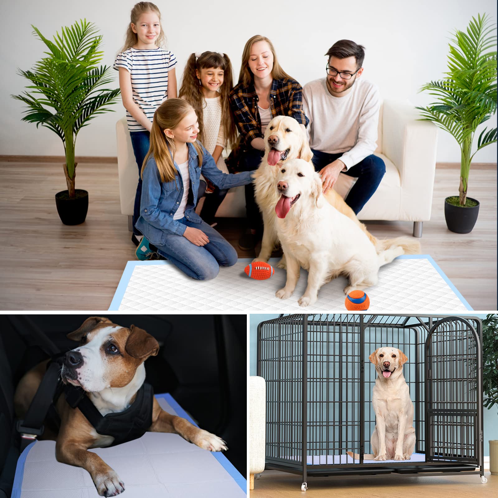 Boscute Super Absorbent & Leak-Proof Jumbo Size 36''X36'' Pet Training Dog Pee Pads, Thicken Quick Dry Disposable Puppy Pee Pads
