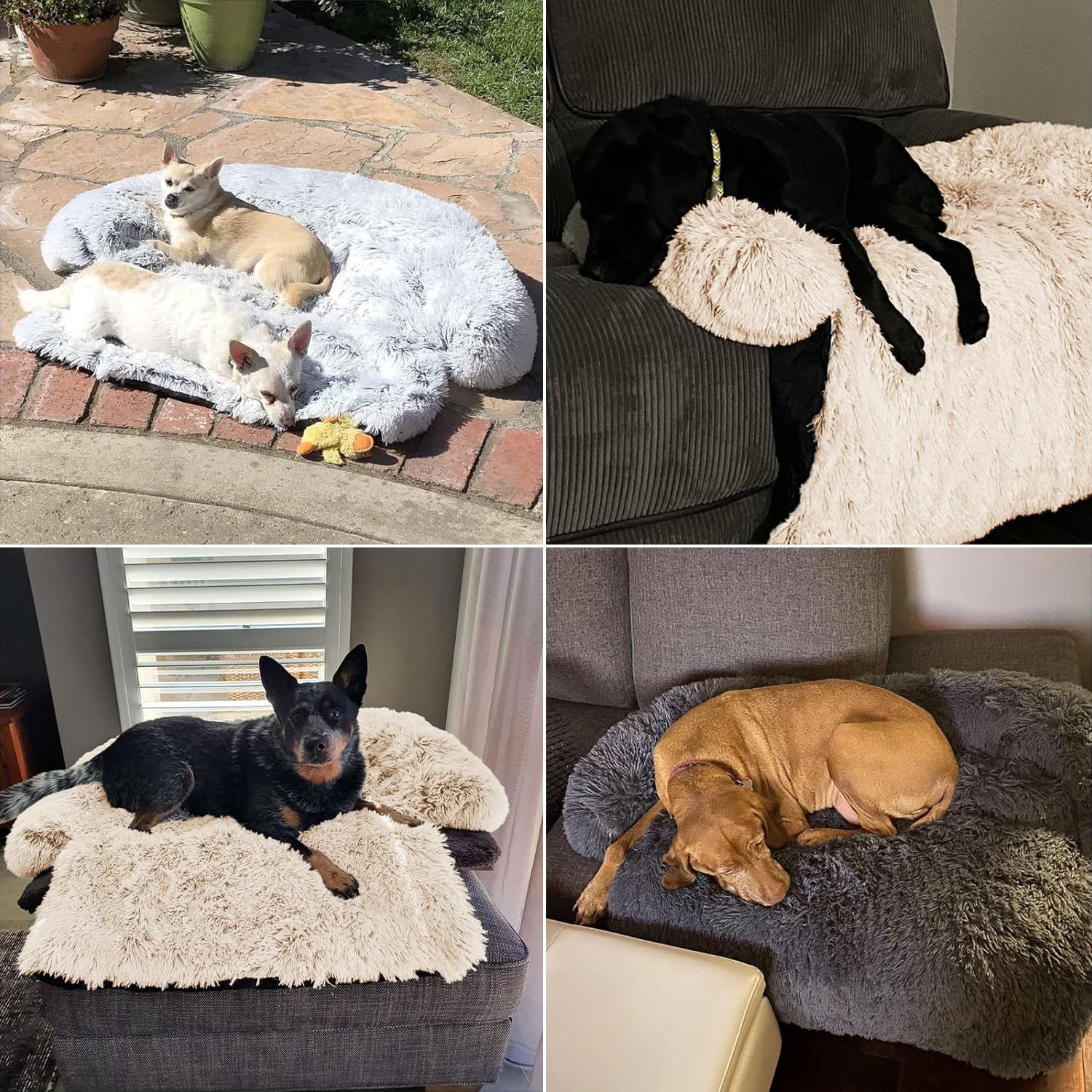 Calming Dog Bed Fluffy Plush Dog Mat For Furniture Protector With Removable Washable Cover For Large Medium Small Dogs And Cats (Large, Beige)