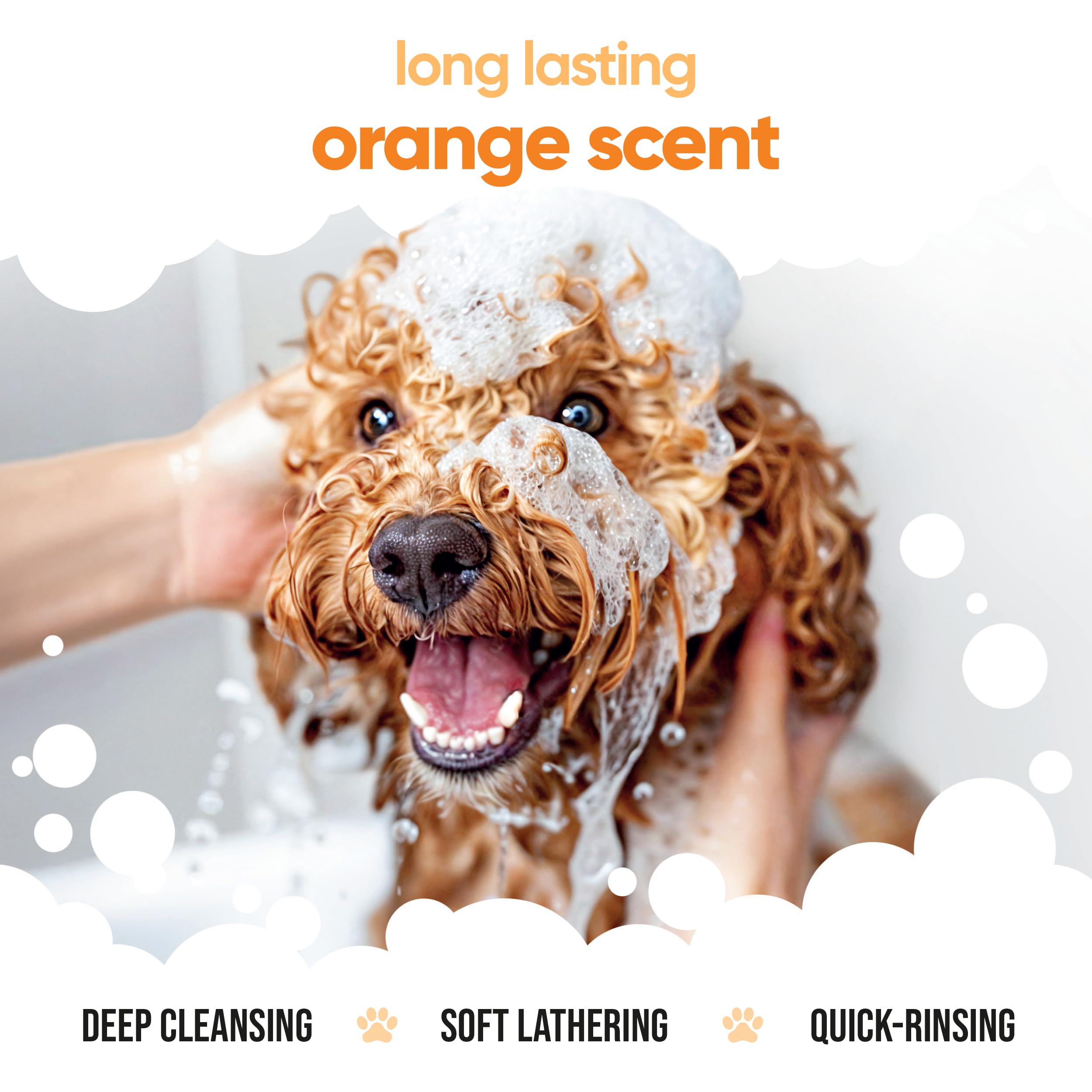 Orange Dog Shampoo By Buddycare | Deep Cleansing Shampoo For Dogs | Orange Scented | With Aloe Vera And Pro Vitamin B5 (16.9Oz)