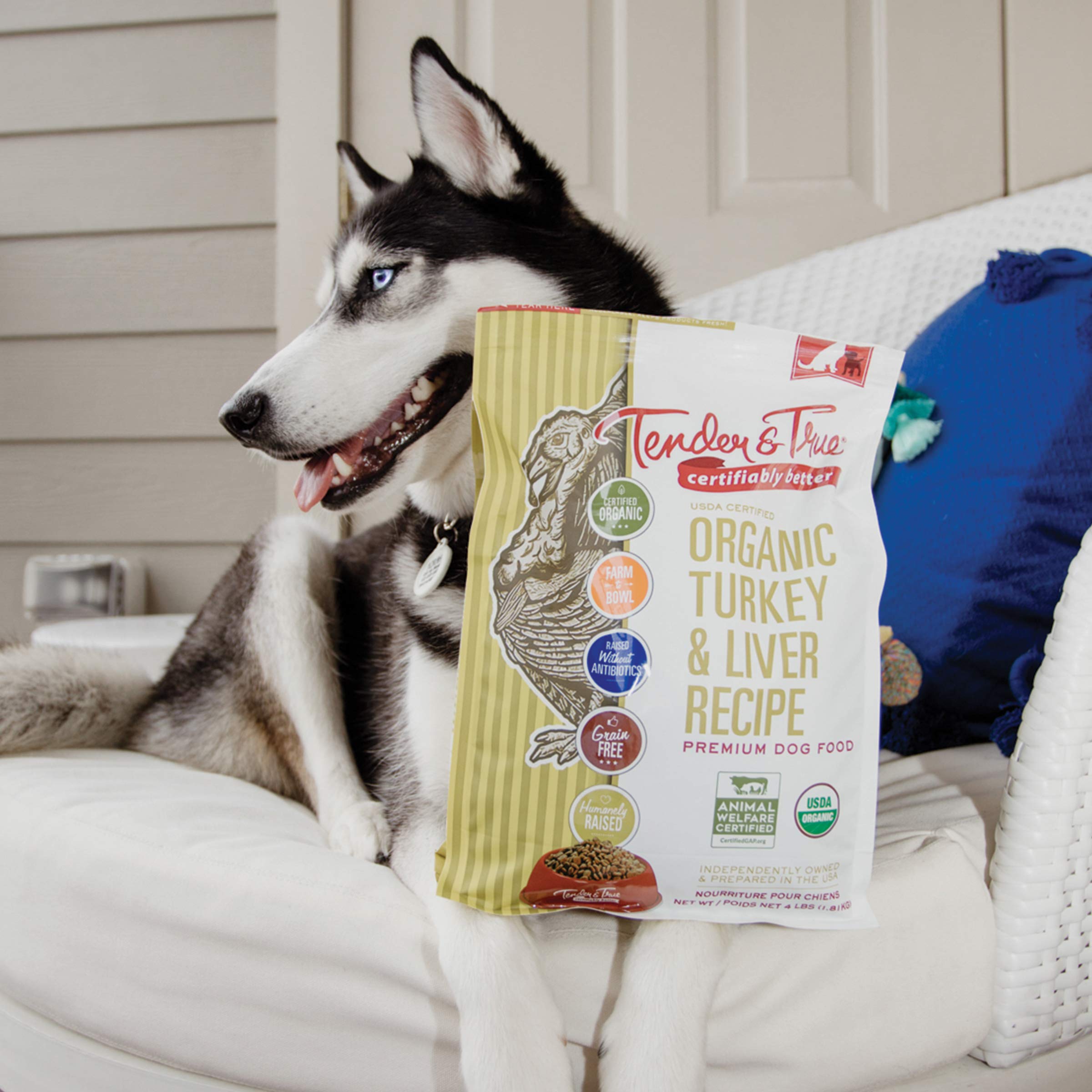 Tender & True Organic Turkey & Liver Recipe Dog Food, 4 lb