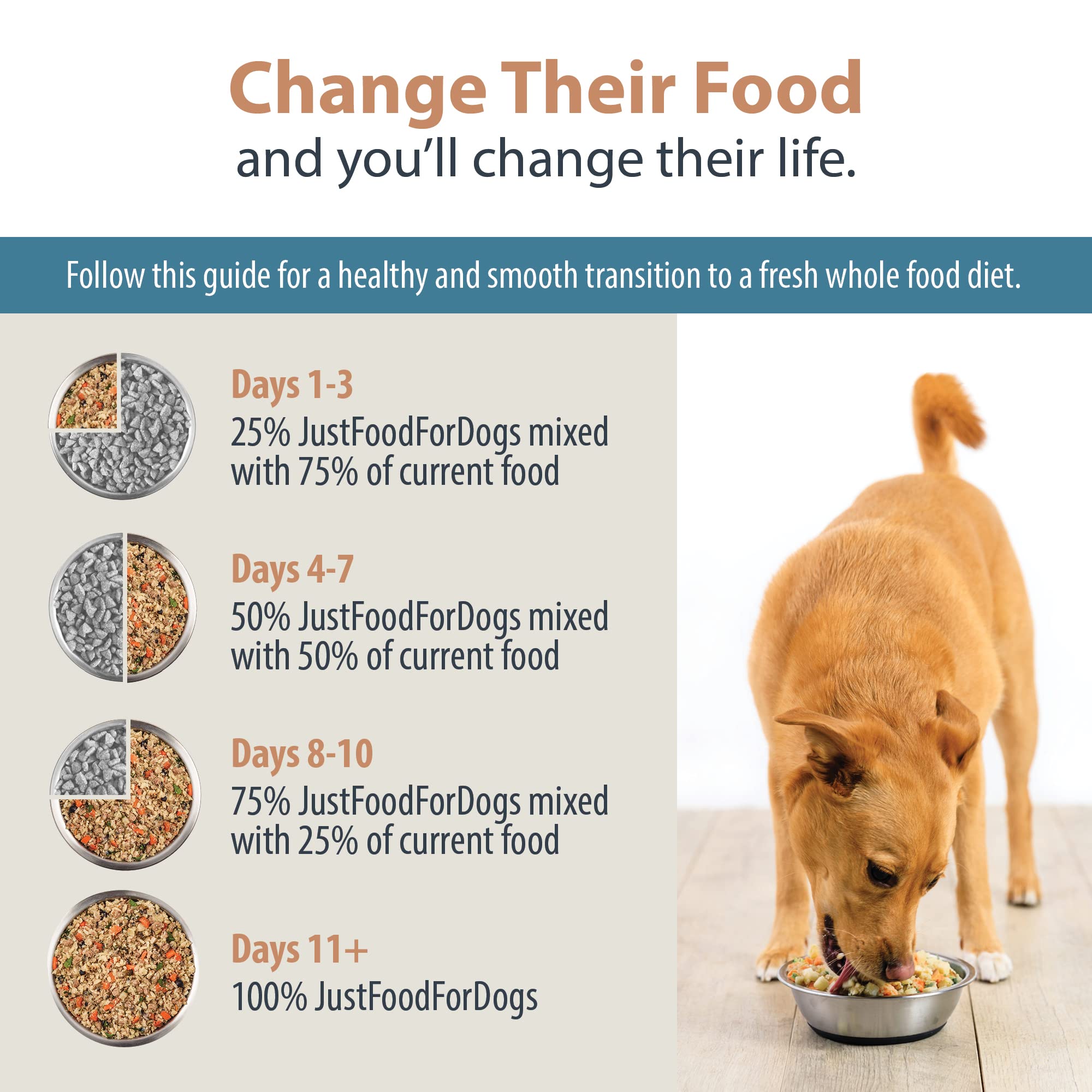 JustFoodForDogs Pantry Fresh Wet Dog Food, Complete Meal or Dog Food Topper, Lamb & Brown Rice Human Grade Dog Food Recipe - 12.