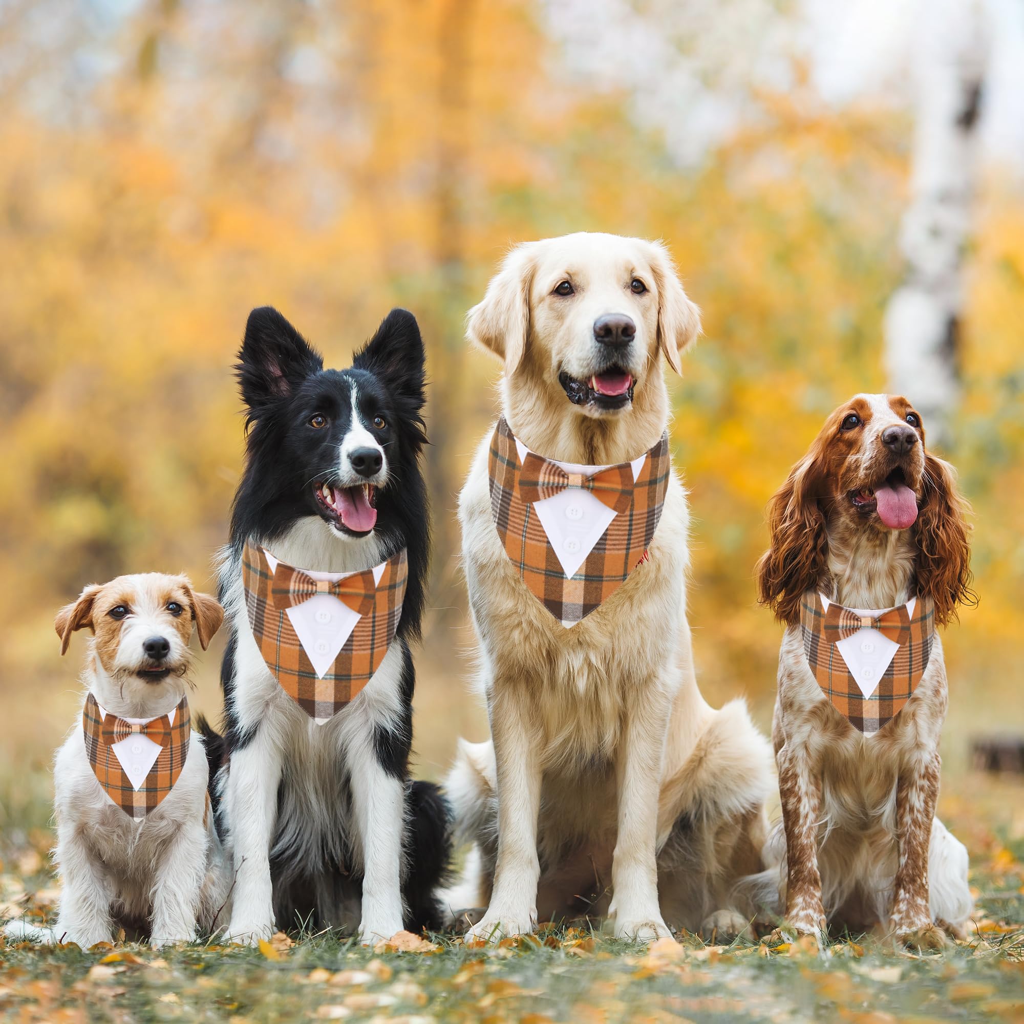 Adoggygo Fall Dog Tuxedo Bandana, Orange Plaid Dog Tux Collar With Bowtie Adjustable Dog Halloween Thanksgiving Formal Costume For Large And Extra Large Dogs Pets (Xl, Fall)