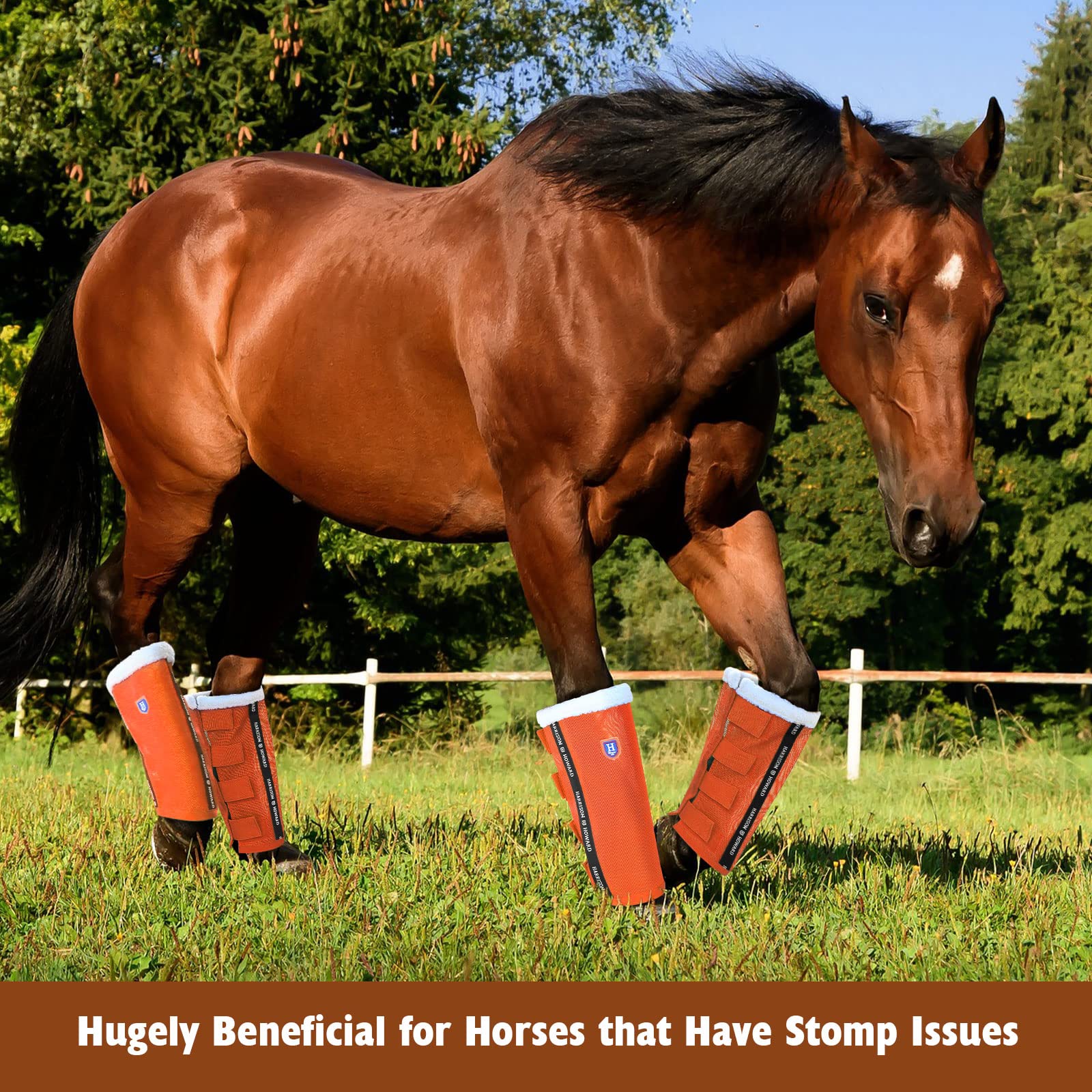 Harrison Howard Loose-Fitting Horse Fly Boots Uv-Protective, Breathable, Tear-Resistant Fine Mesh Leggins Stay-On Comfortable Fl