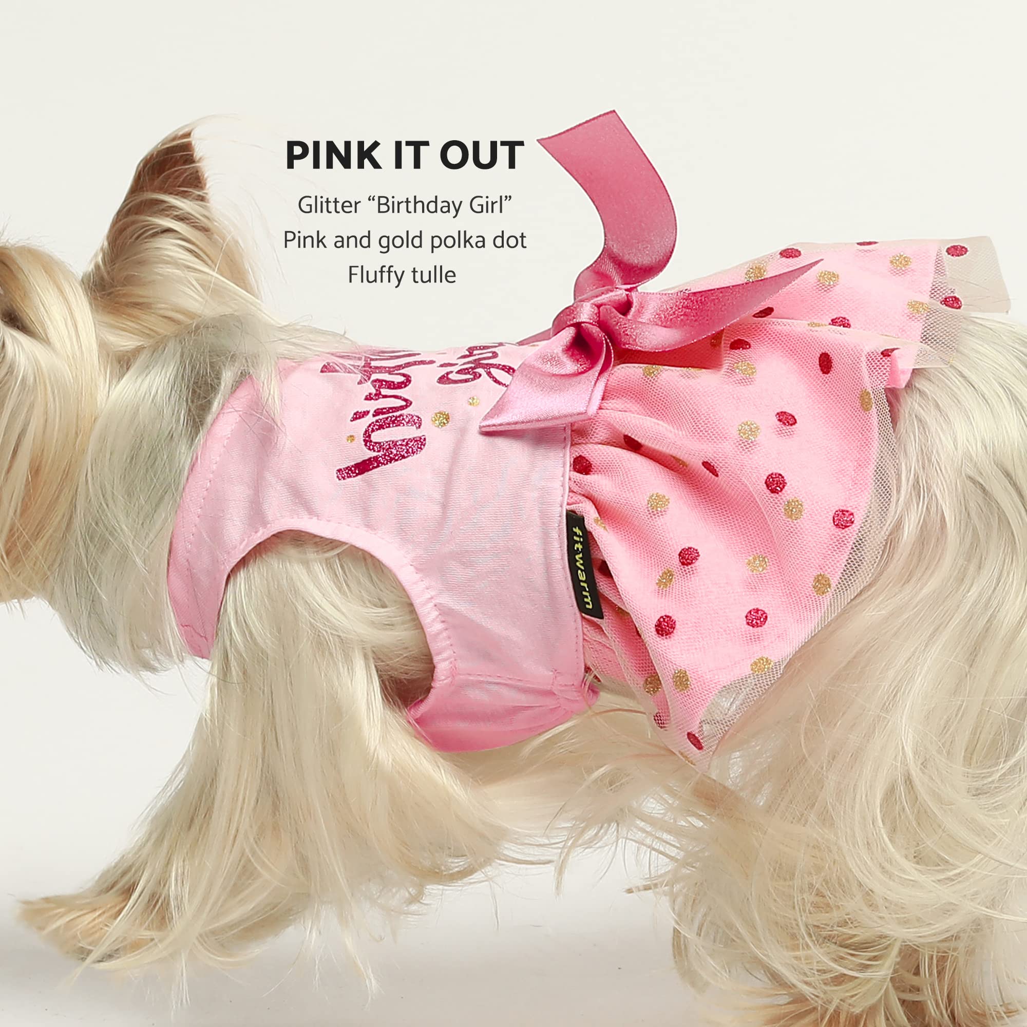 Fitwarm Birthday Girl Dog Tulle Dress, Dog Clothes For Small Dogs Girl, Chihuahua Apparel, Pink, X-Small