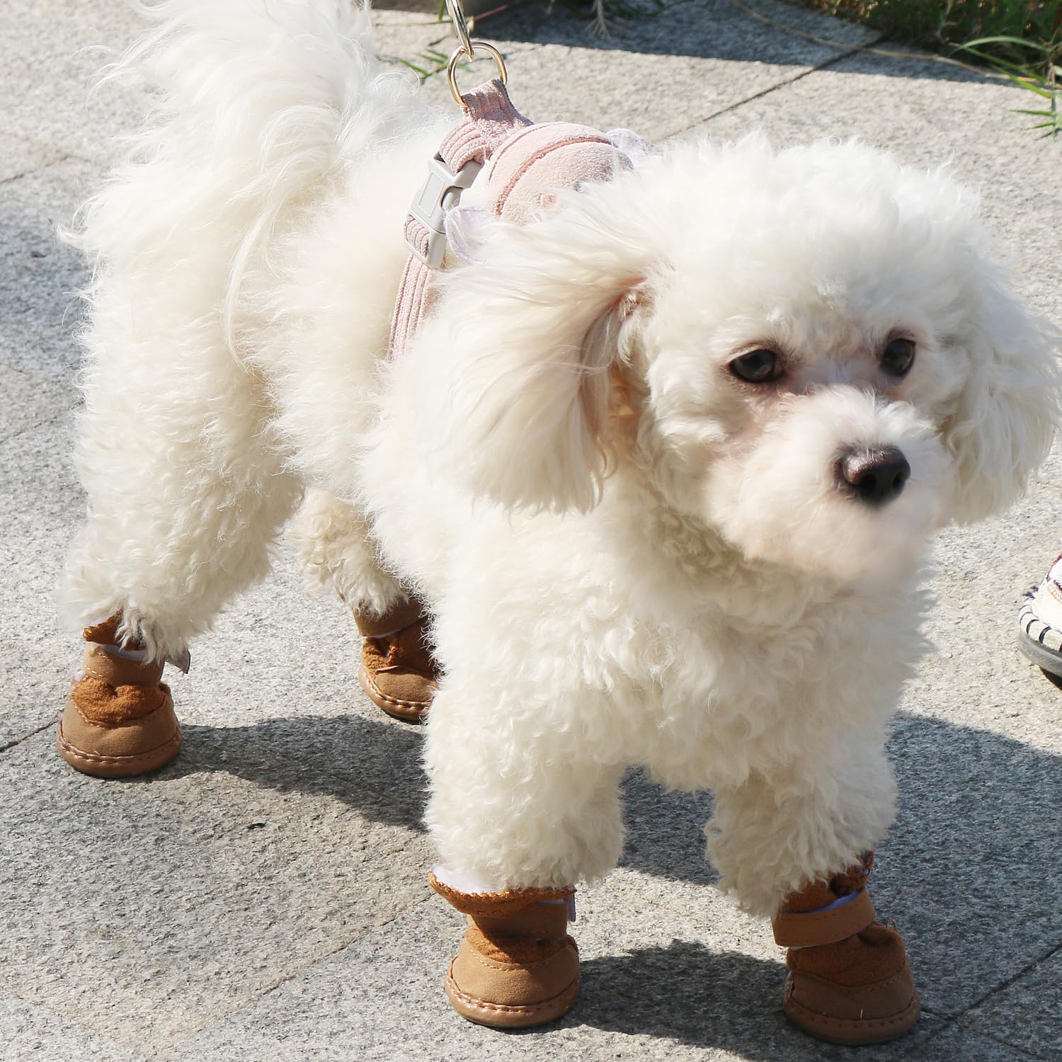 Urbest Dog Shoes With Hook Loop Closure Booties Pet Dog Chihuahua Shoes Boots, 4Pcs (1#, Brown)