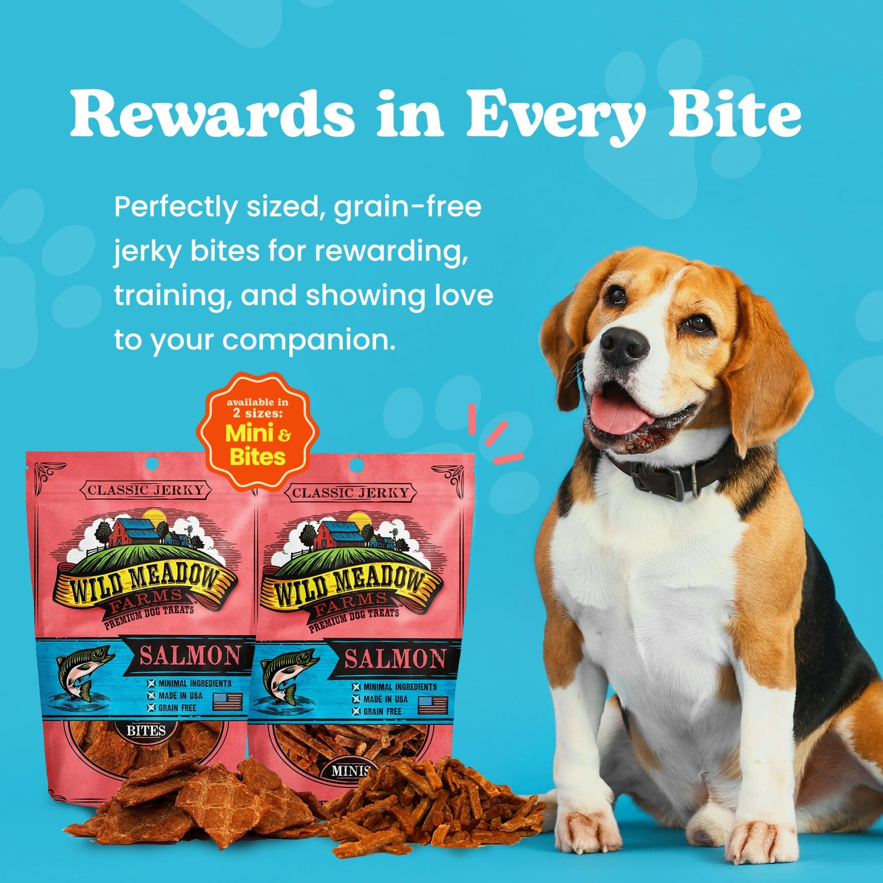 Wild Meadow Farms - Classic Salmon Bites, Soft Jerky Treats for Dogs, Grain-Free & All-Natural, Ideal for Training, Portioning,