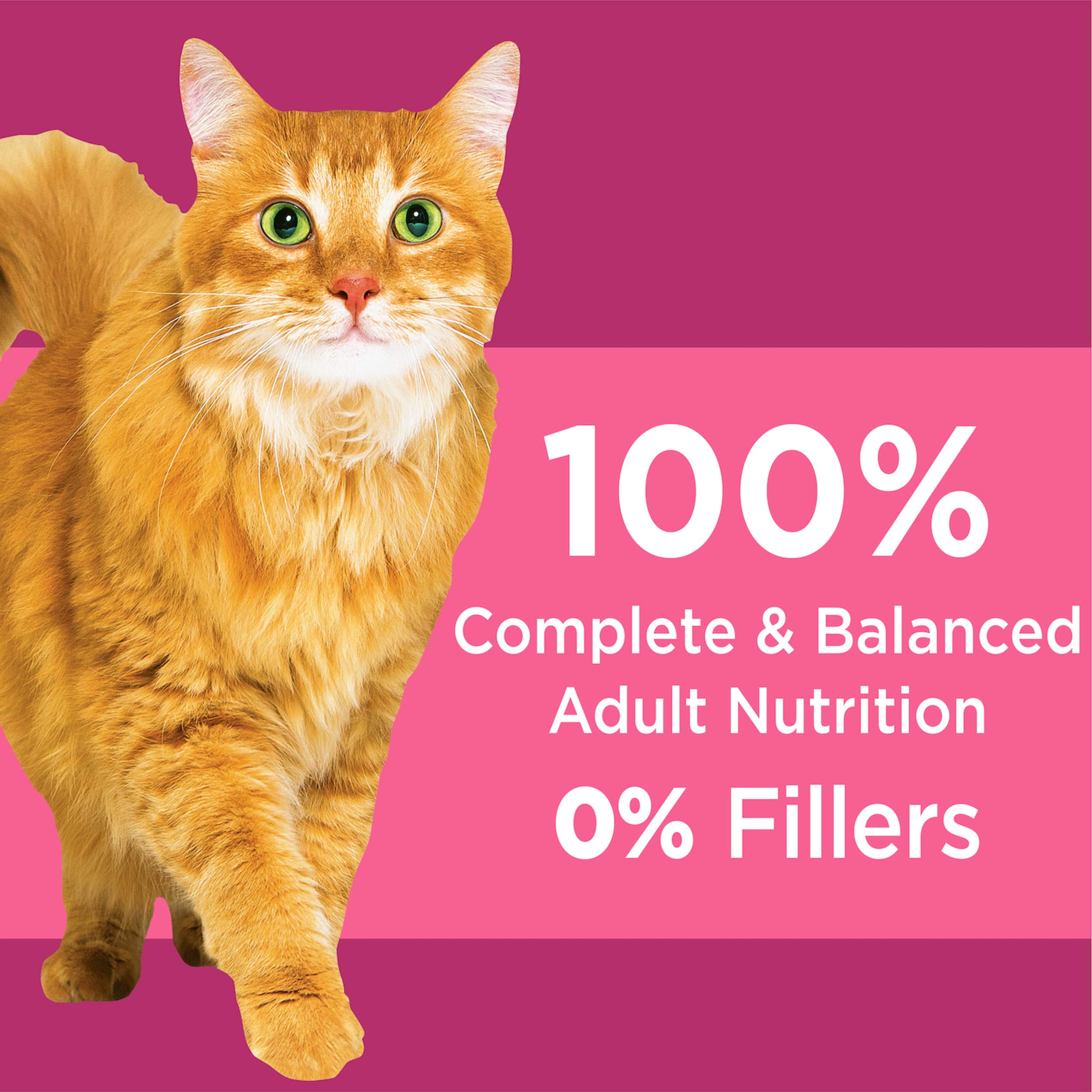 IAMS PROACTIVE HEALTH Adult Urinary Tract Health Dry Cat Food with Chicken, 7 lb. Bag