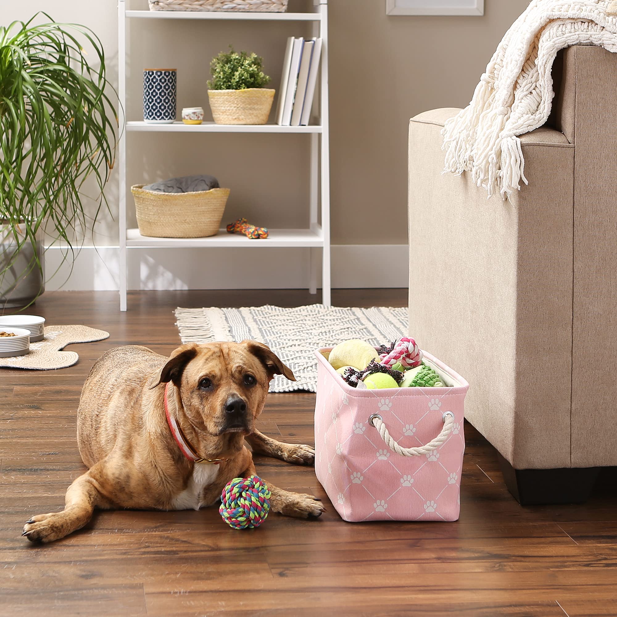 DII Polyester Pet Bin Trellis Paw Pink Rectangle Small