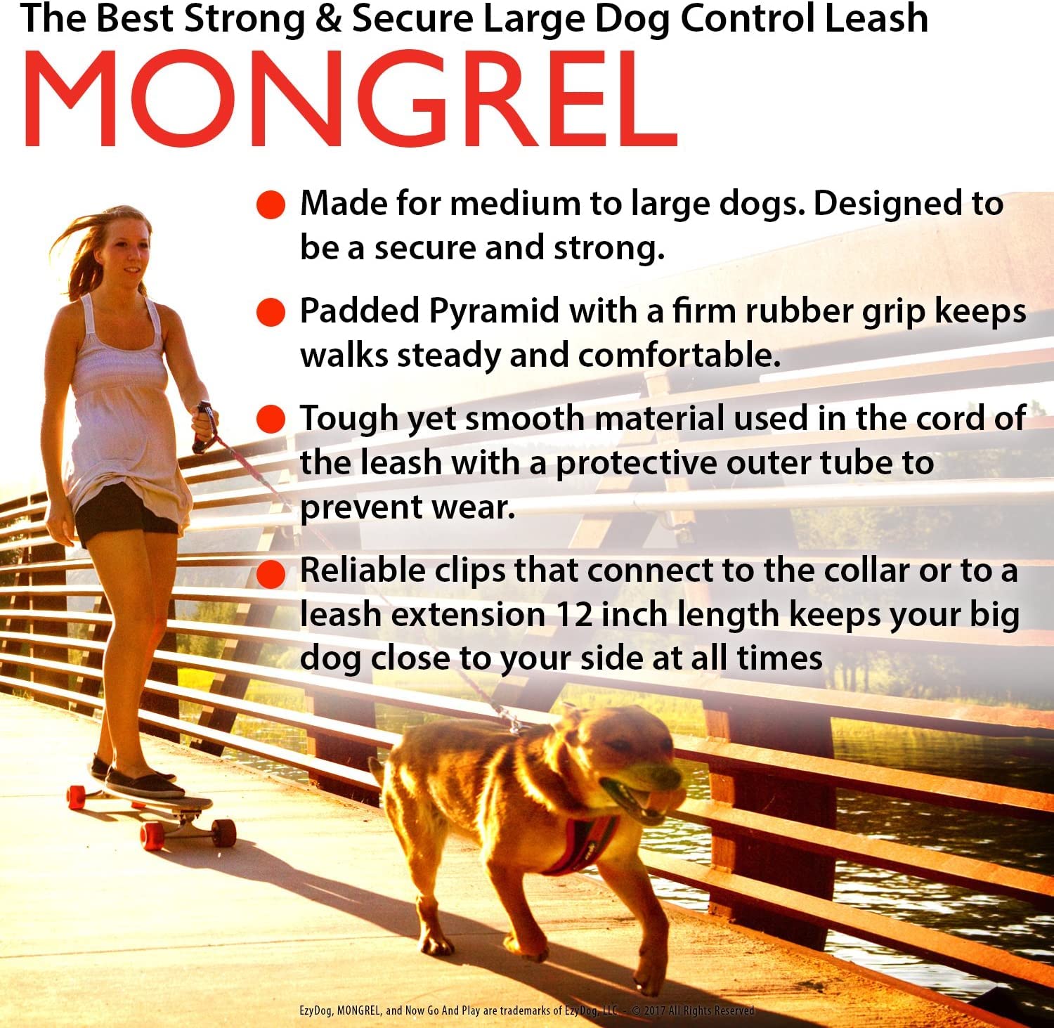 Ezydog Mongrel Best Short Dog Leash For Medium To Large Dogs - Perfect Lead For Control, Training, And Keeping Your Dog Close - Durable And Comfortable Pyramid Handle Design (12”, Black)
