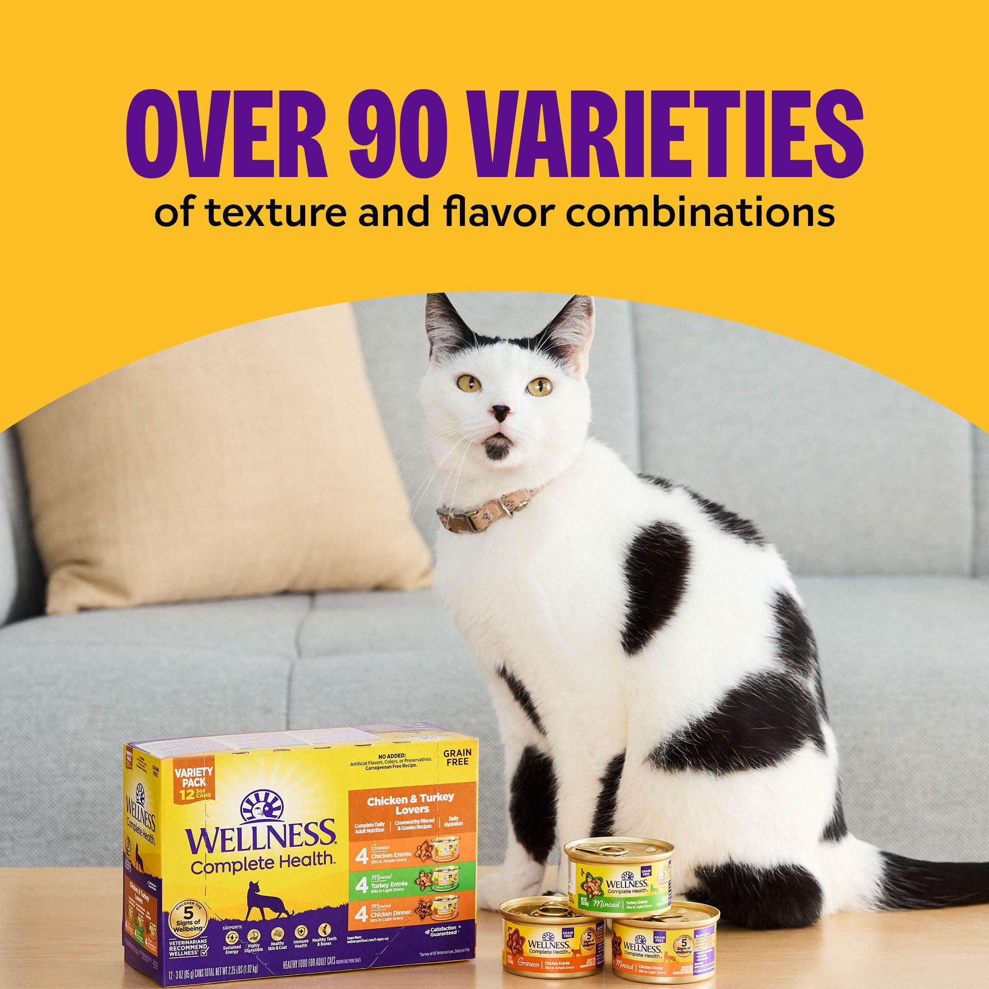 Wellness Complete Health Grain-Free Wet Canned Cat Food, Natural Ingredients, Made with Real Meat, All Breeds, Smooth Pate (Beef