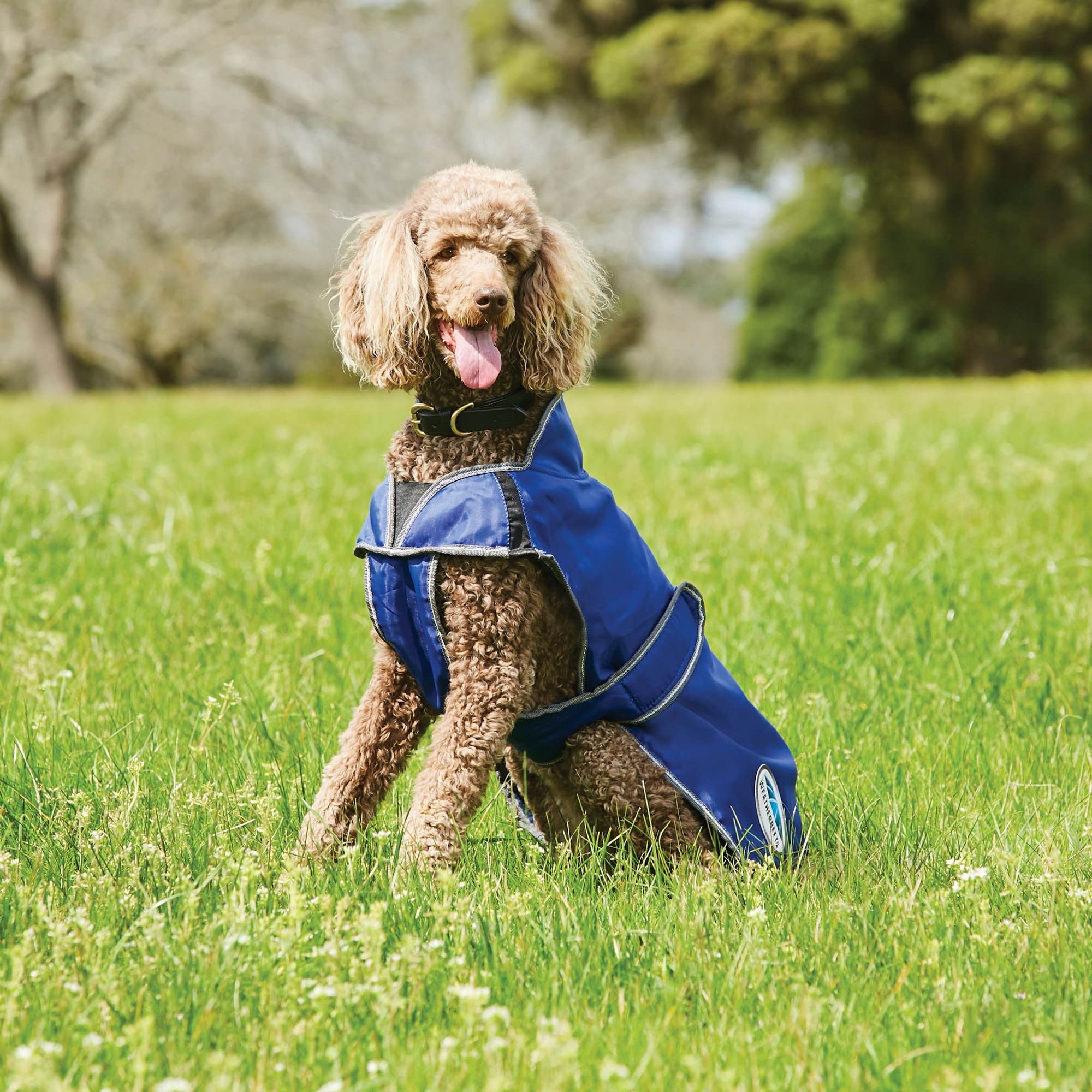 Weatherbeeta Comfitec Windbreaker Free Deluxe Dog Coat, Dark Blue/Grey/White, 16'