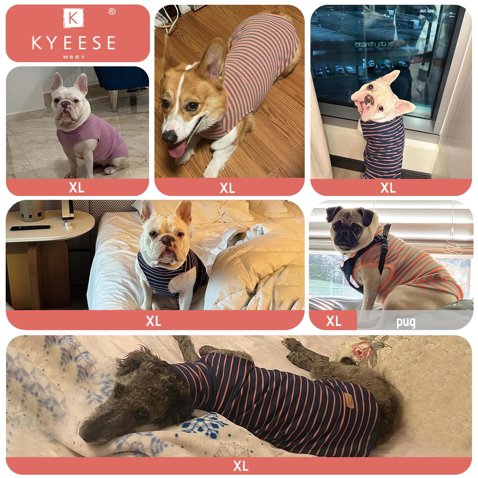 Kyeese 2Pack Dog Sweater Turtleneck Dog Clothes Stretchy Dachshund Clothes Soft Dog Sweatshirt Pullover Dog Sweaters For Medium Dogs Male Warm Dog Coats