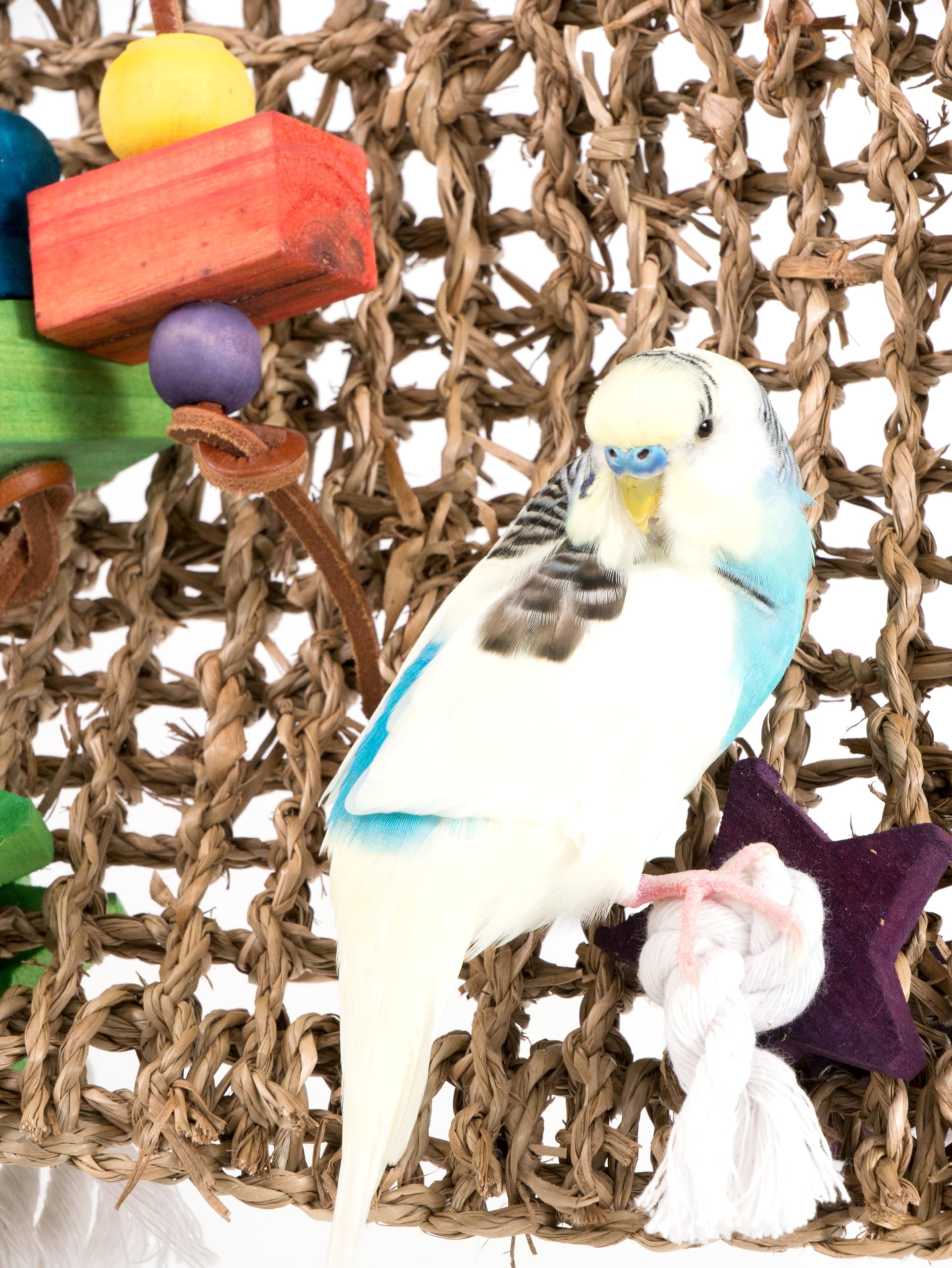 Penn-Plax Bird-Life Seagrass Mat for Birds - 13.75" Multi-color, Climbing & Exercise Toy with Cotton Ropes & Wood Accessories, Model BA1024