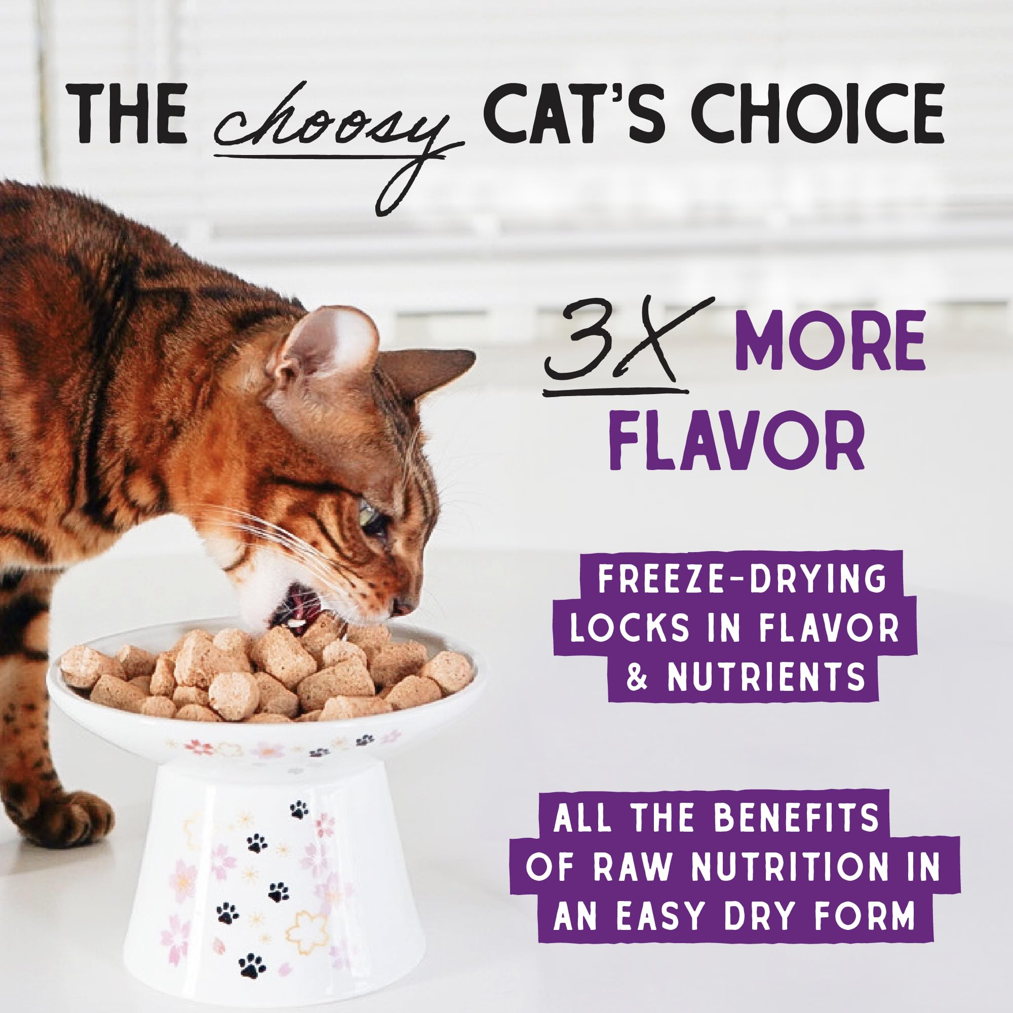 Stella & Chewys Freeze-Dried Raw Cat Dinner Morsels - Grain Free, Protein Rich Cat & Kitten Food - Absolutely Rabbit Recipe - 3