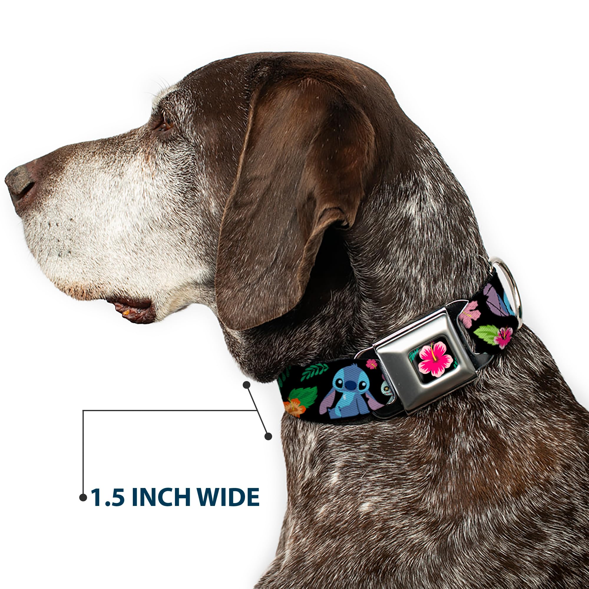 Buckle-Down Lilo & Stitch -Ohana Means Family Dog Collar, Seat Belt Buckle, Black Multicolor