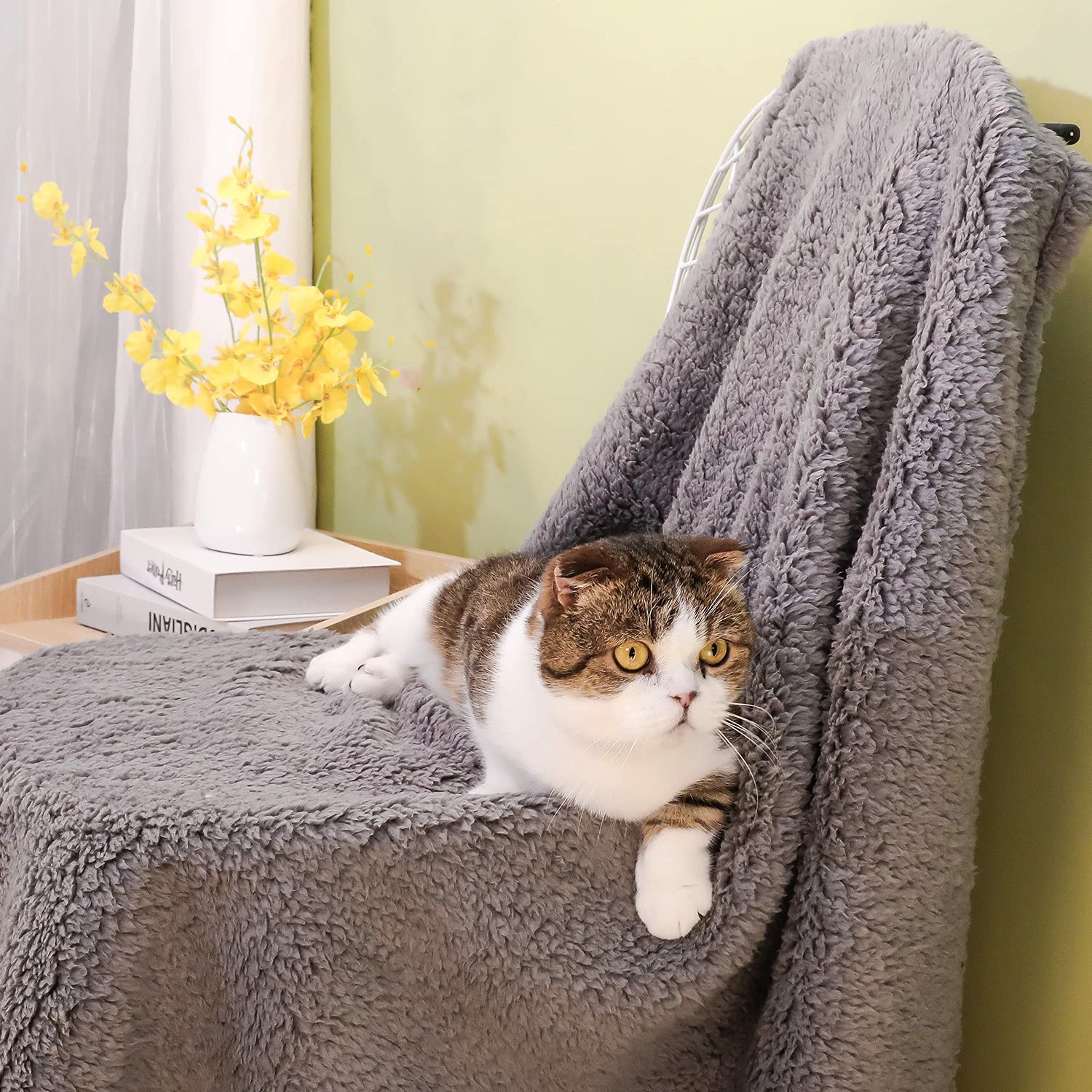 Xinsource 2 Packdog Blanket For Large Size Dogs Cats Soft Sherpa Fleece Pet Blanket Throw For Sofa, Couch Thick Durable Pet Bed