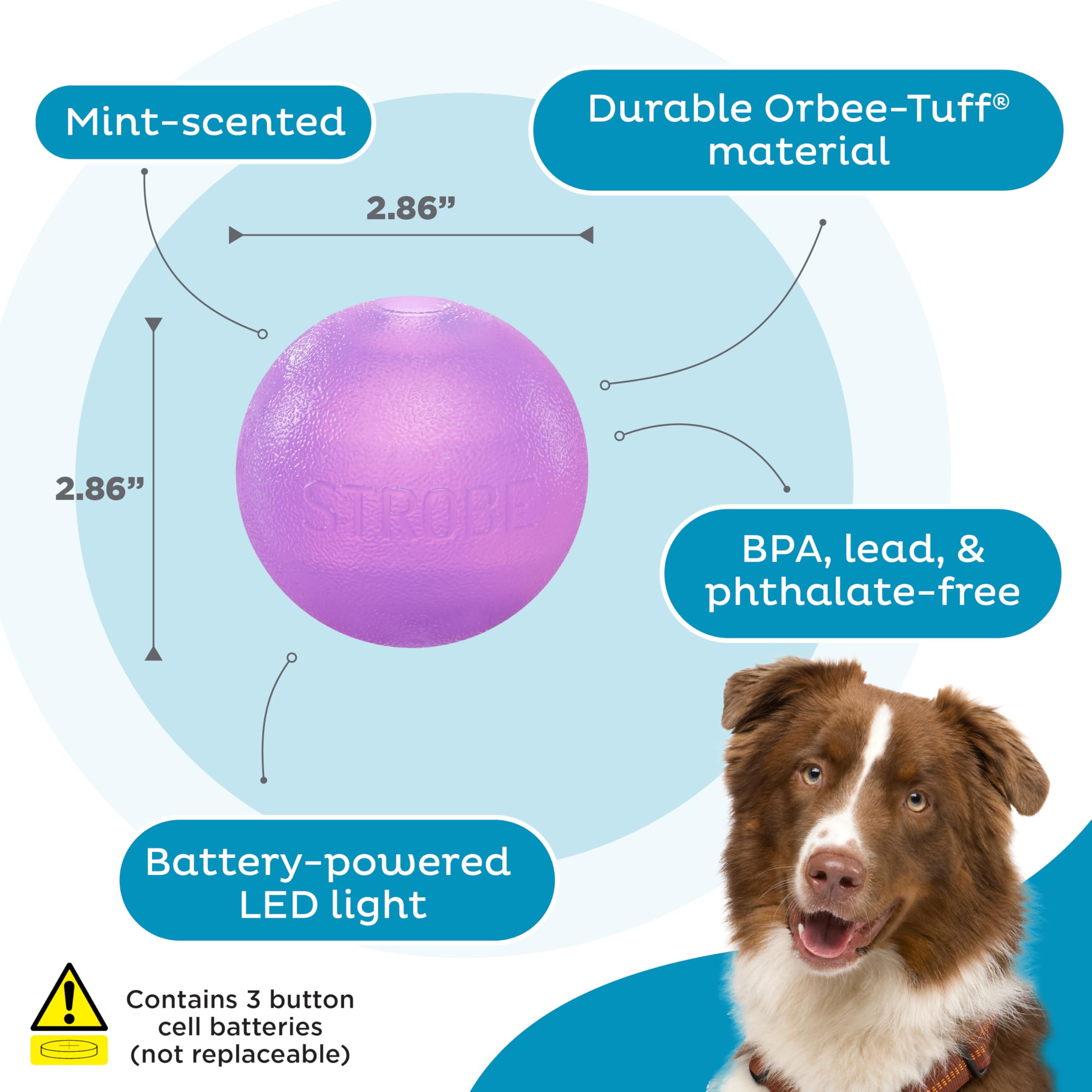 Outward Hound By Planet Dog Strobe Light Up Led Ball Dog Toy, Purple