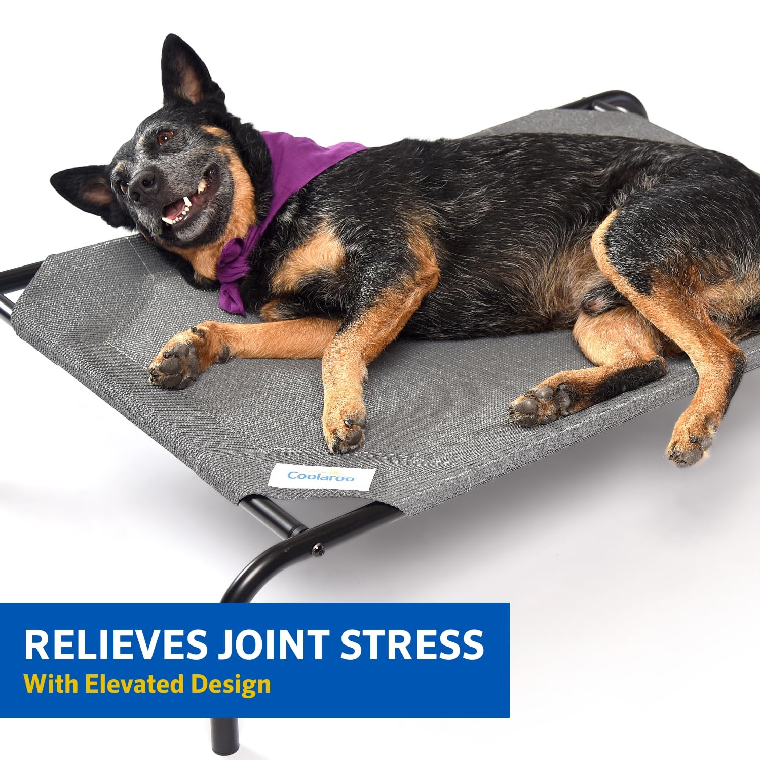 Coolaroo The Original Cooling Elevated Pet Bed,Brunswick Green, Small
