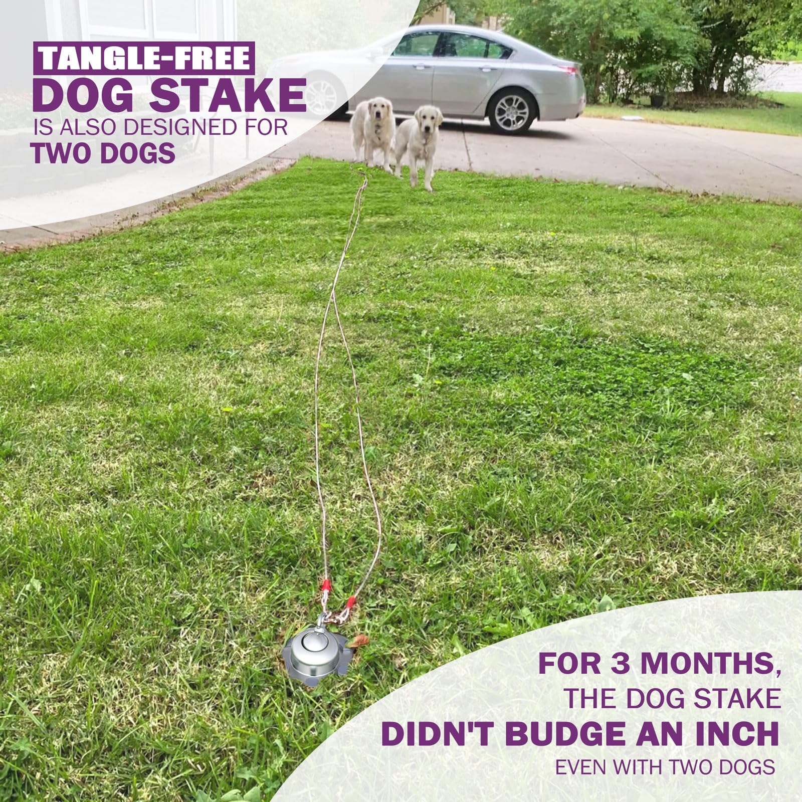 360° Swivel Dog Tie Out Cable And Stake - 2025 Upgrad Stainless Steel Dog Stake Dog Anchor For Small To Large Dogs - No Tangle Reflective Dog Run Cable For Yard (Silver, Stake With 20 Ft Cable)