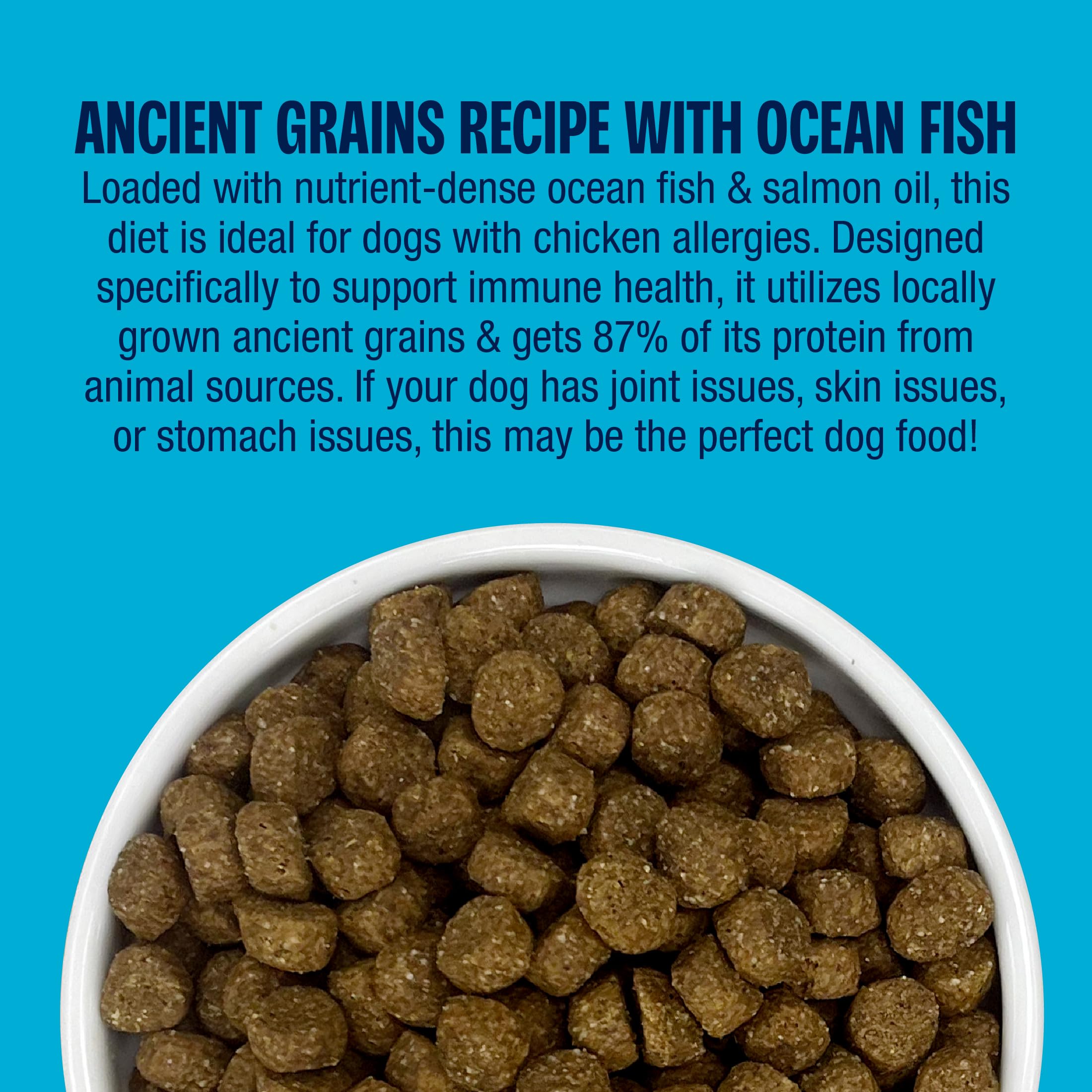 Muenster Ancient Grains Ocean Fish Dry Dog Food, 22lb - Gluten-Free, High Protein, Digestive Support