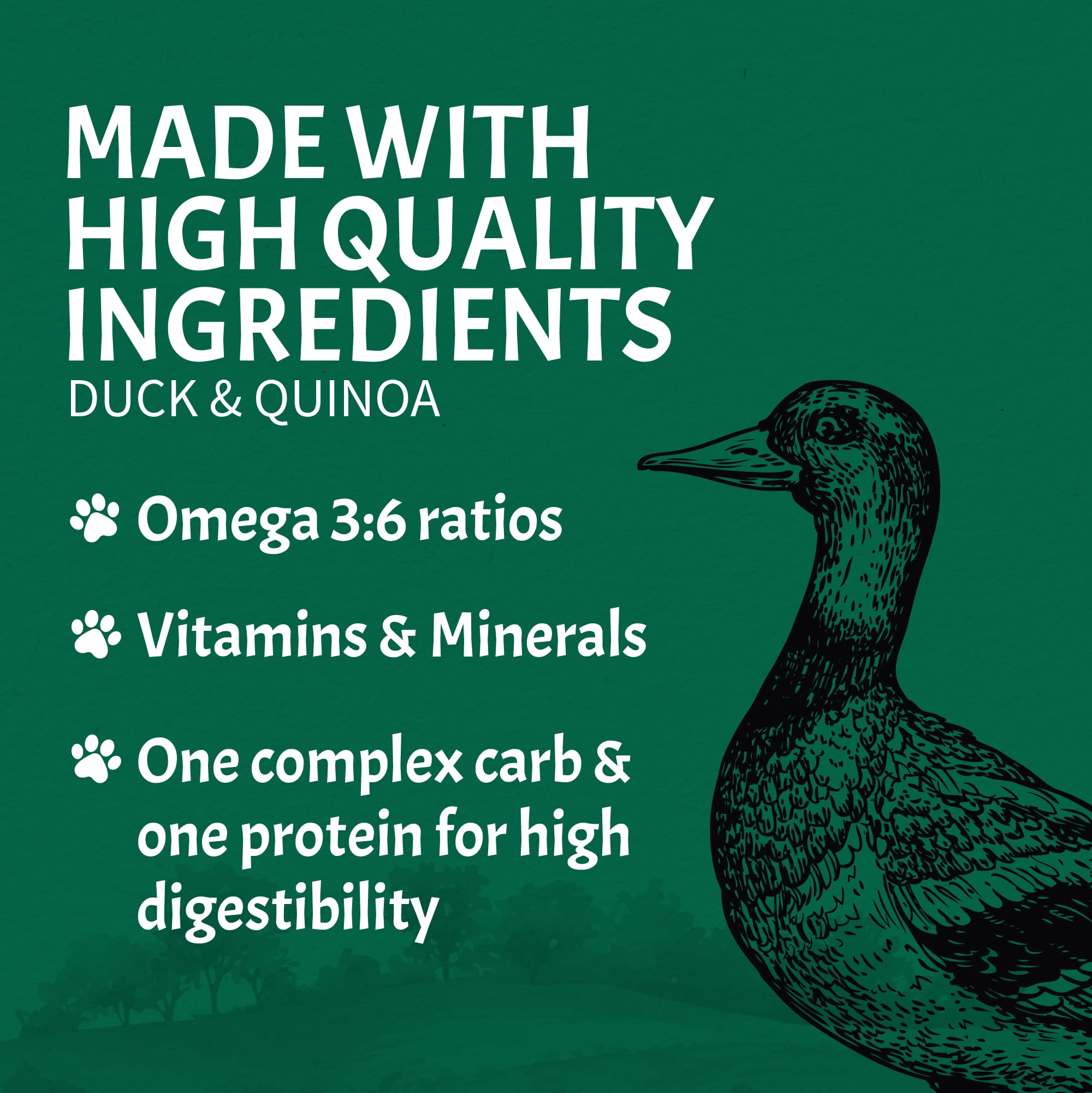 Canine Caviar - Open Sky: Duck & Teff Alkaline Dry Dog Food, Limited Ingredients, Gluten-Free, Based on Science & Research, Vete