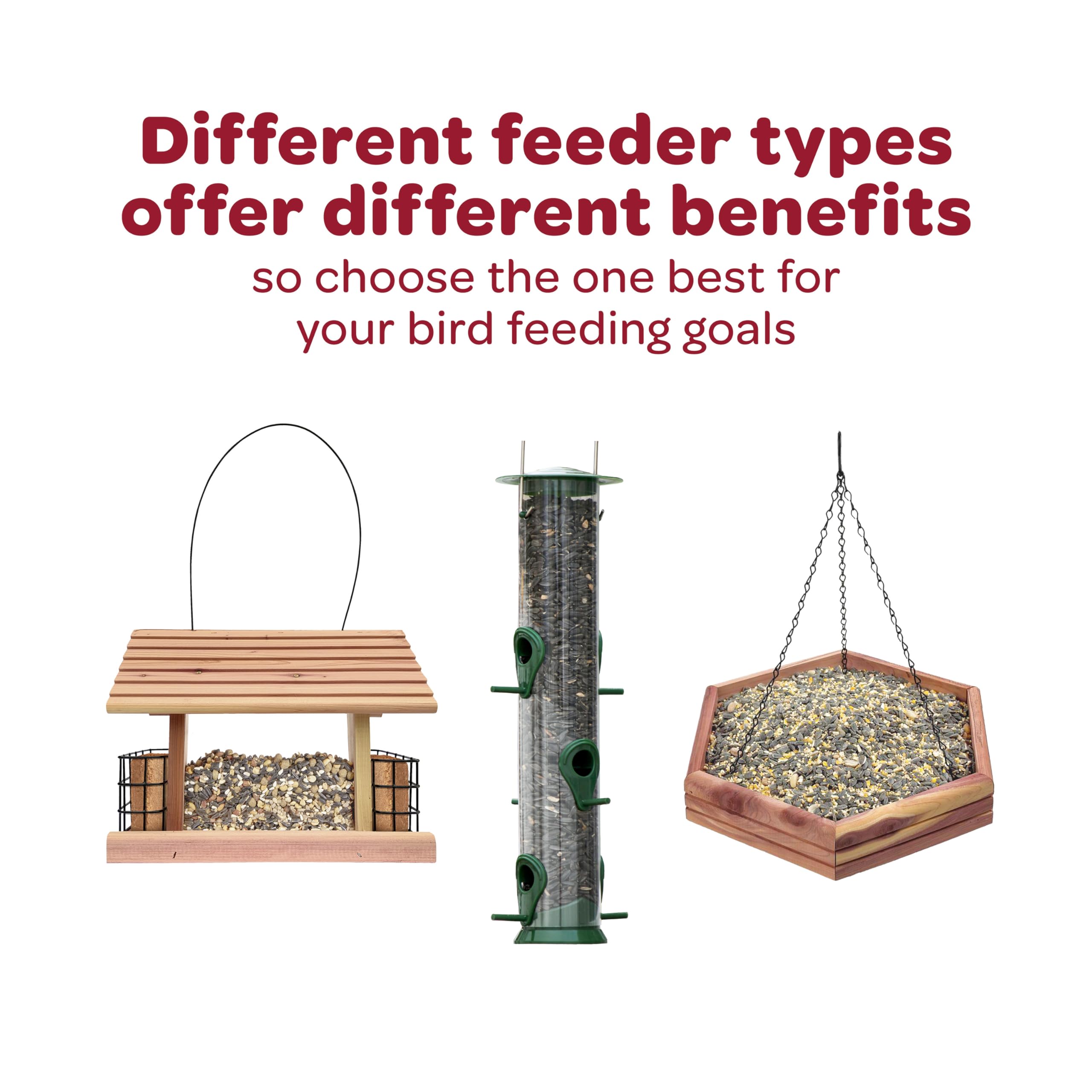 Kaytee Corn-a-Plenty Wild Bird Seed Cake 2.5 Pounds 4 Count
