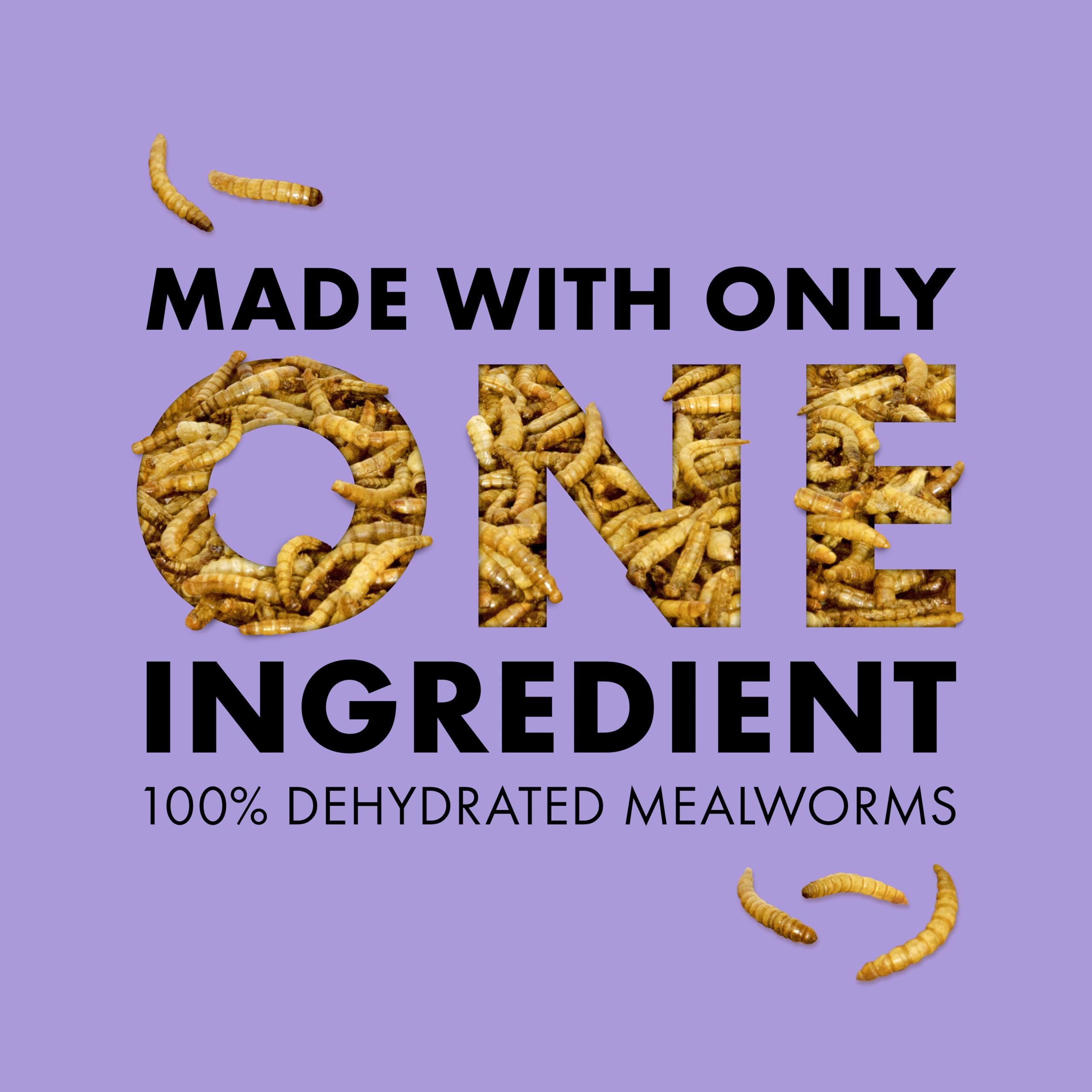 Zilla Reptile Munchies, Mealworms, All-Natural, Dehydrated Mealworms, Ideal for Bearded Dragons, Leopard Geckos, Chameleons and