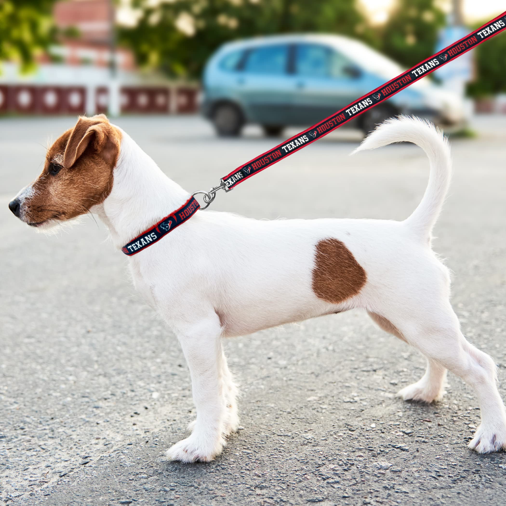 Pets First Houston Texans Leash