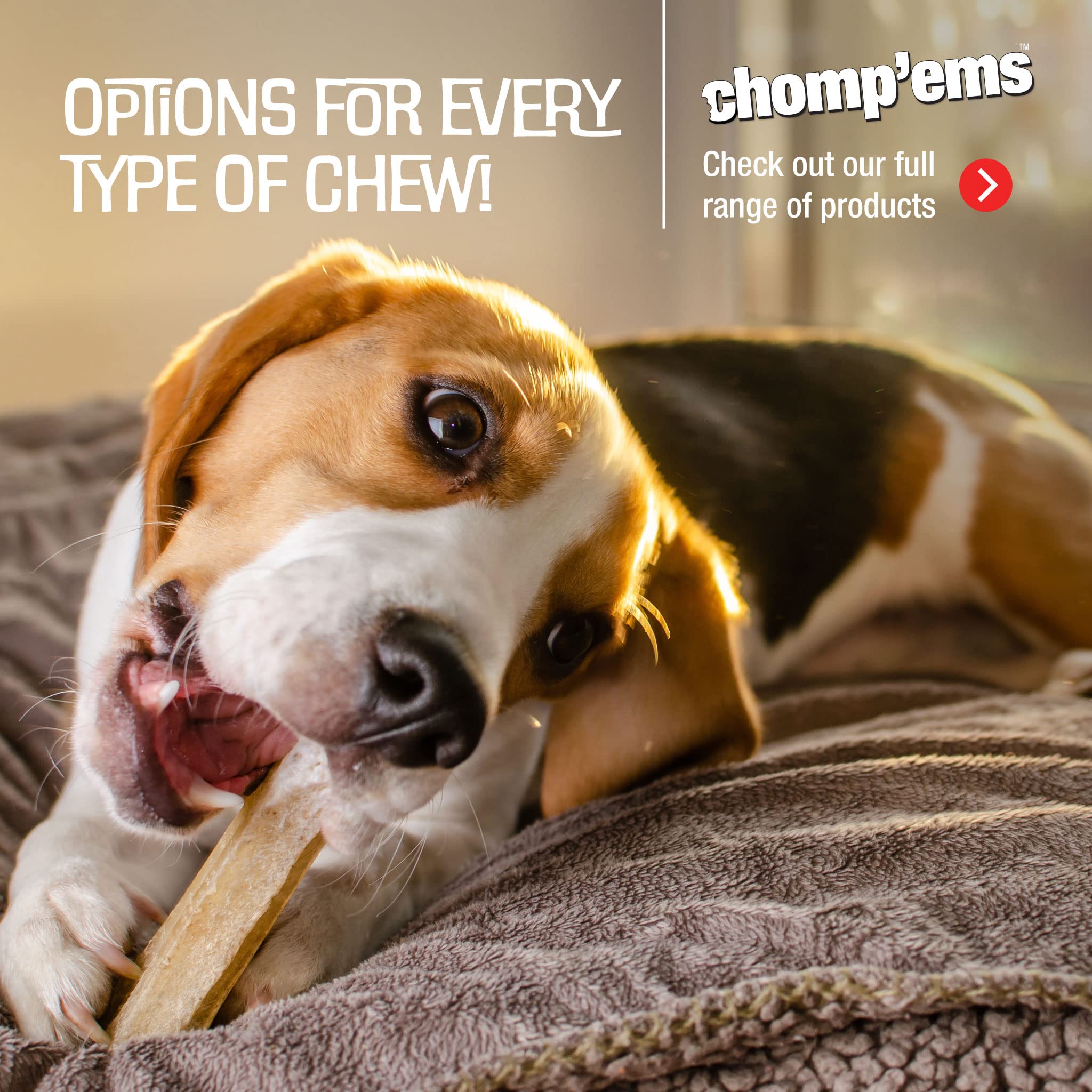 CHOMP EMS Ruffin It 21000 Purehide Bars Dog Chew, 6.35 oz